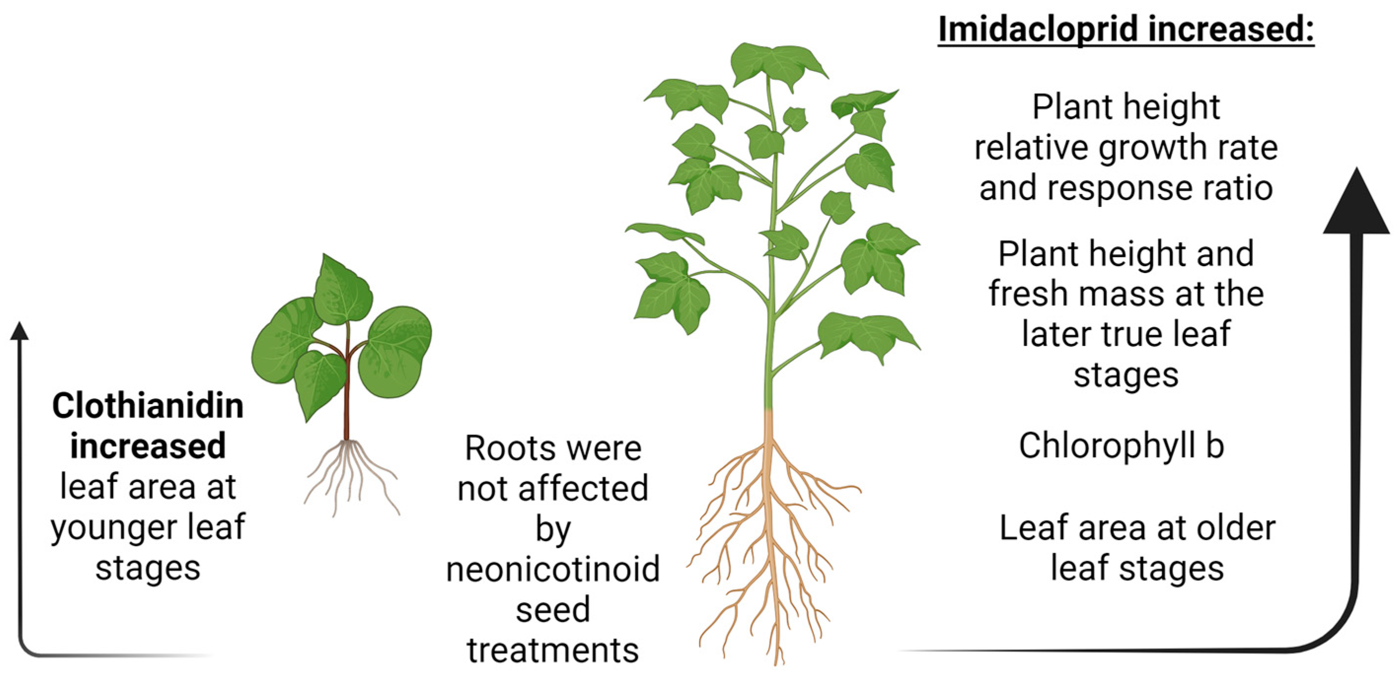 Agronomy 14 00799 g004