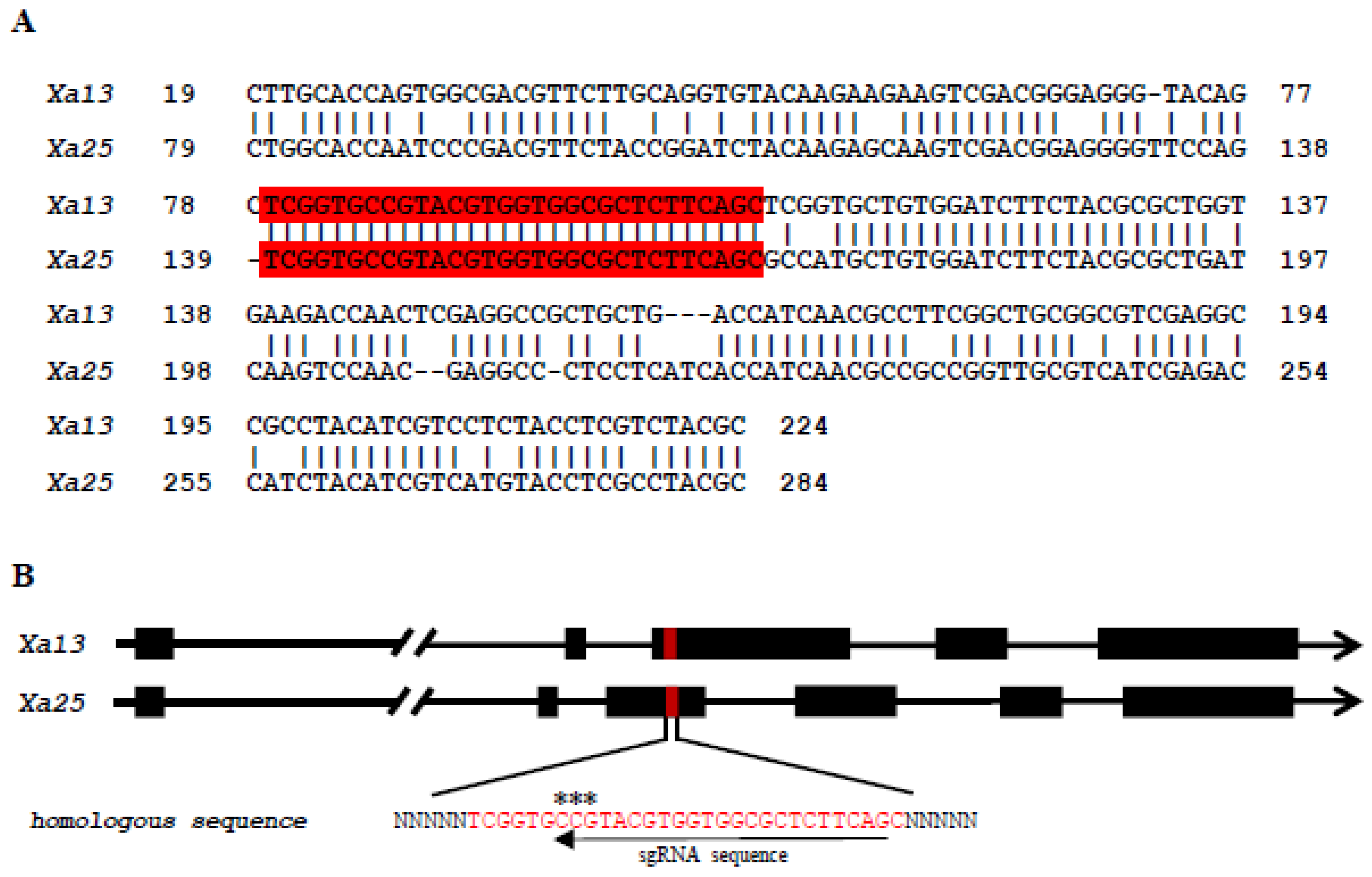 Agronomy 14 00800 g001