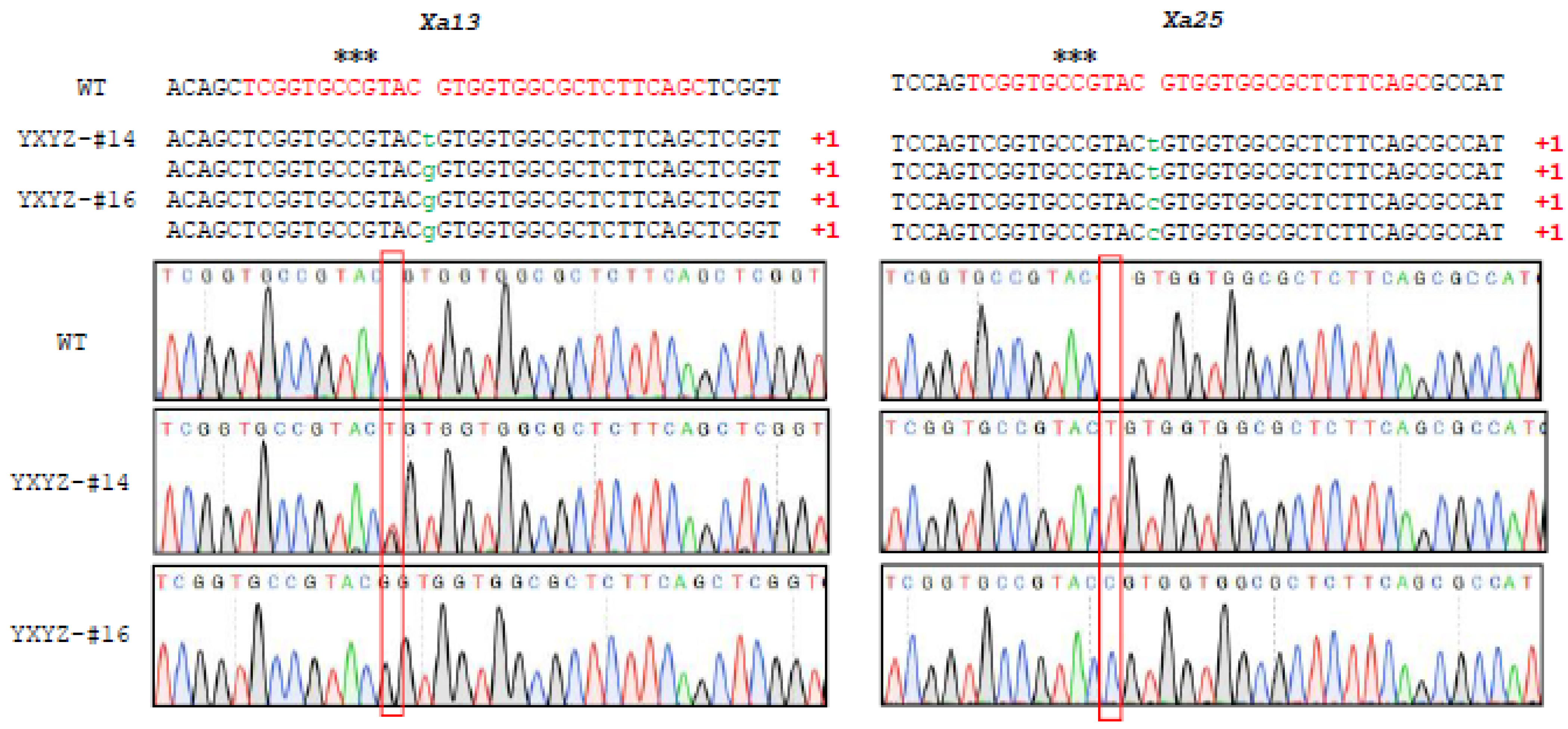 Agronomy 14 00800 g002
