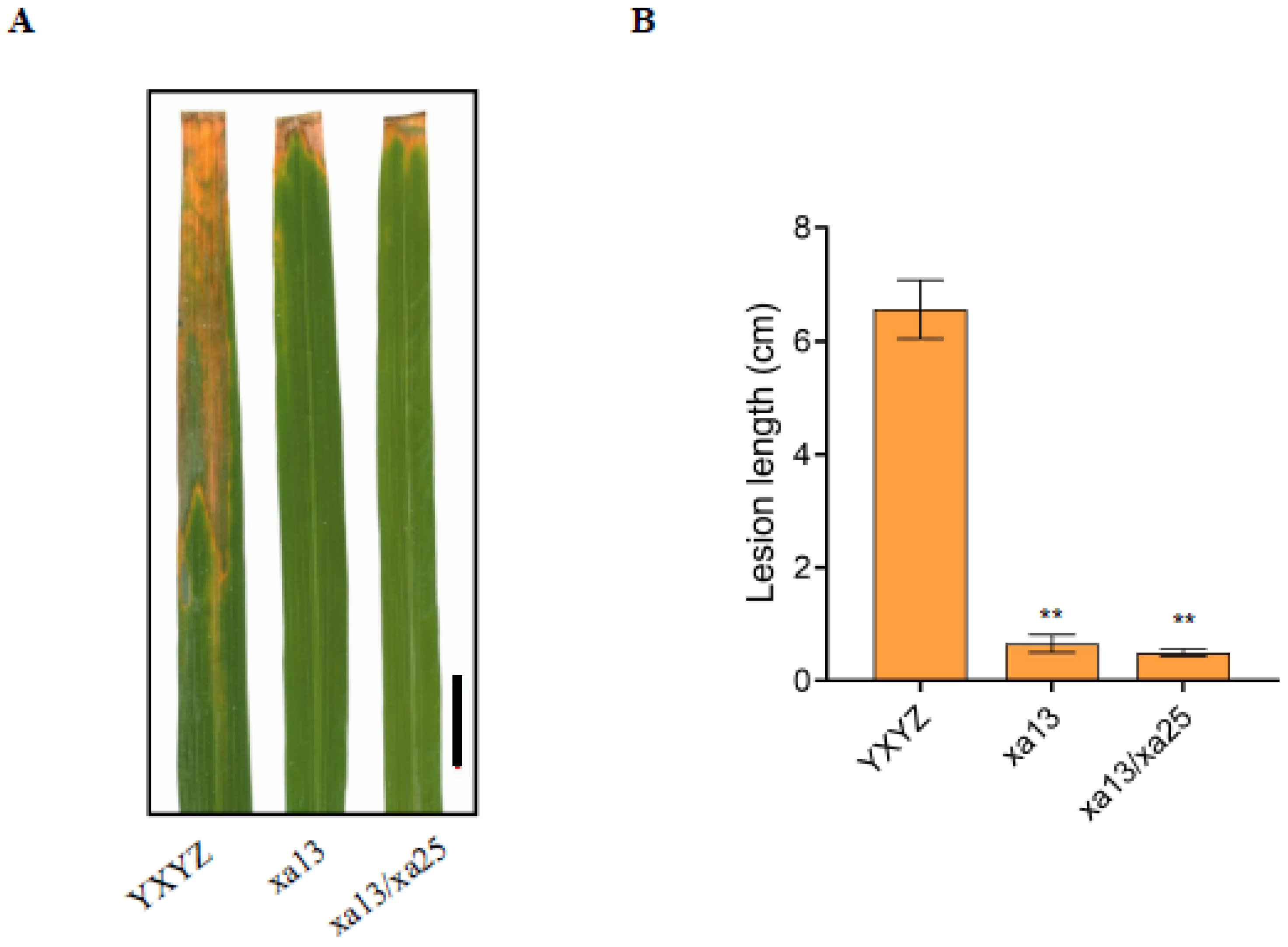 Agronomy 14 00800 g003