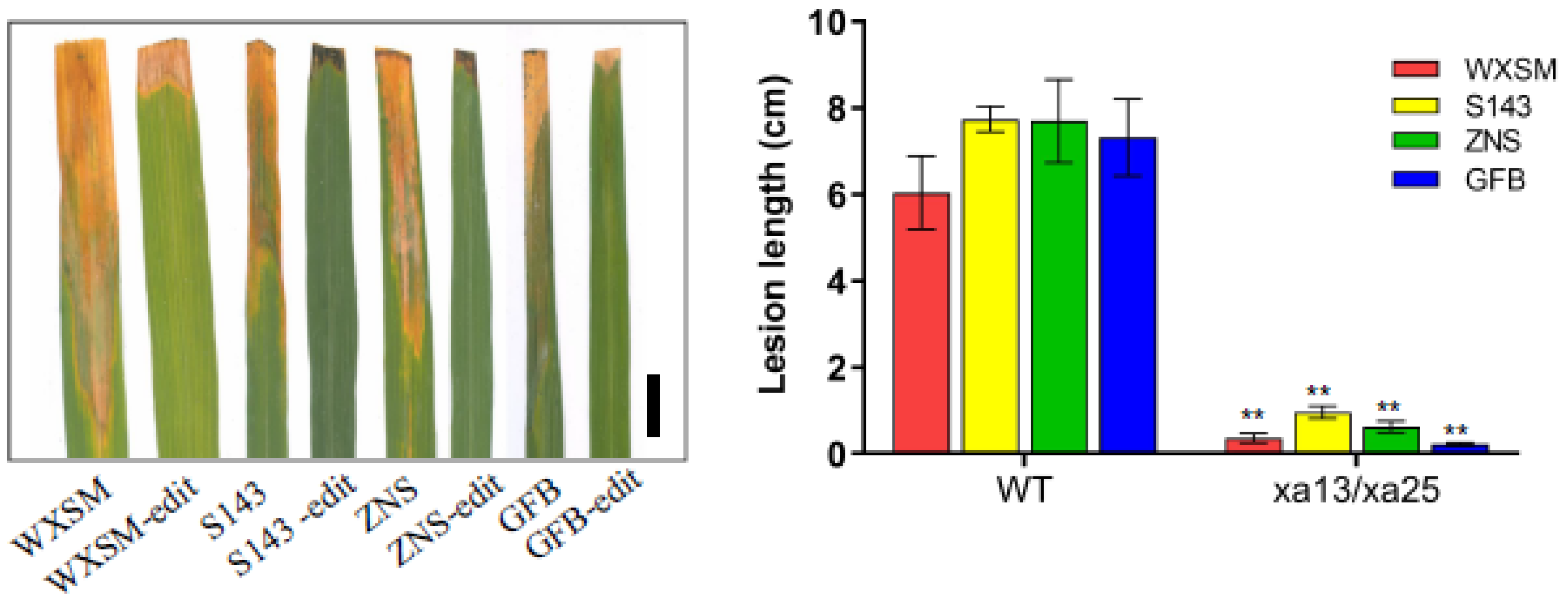 Agronomy 14 00800 g005