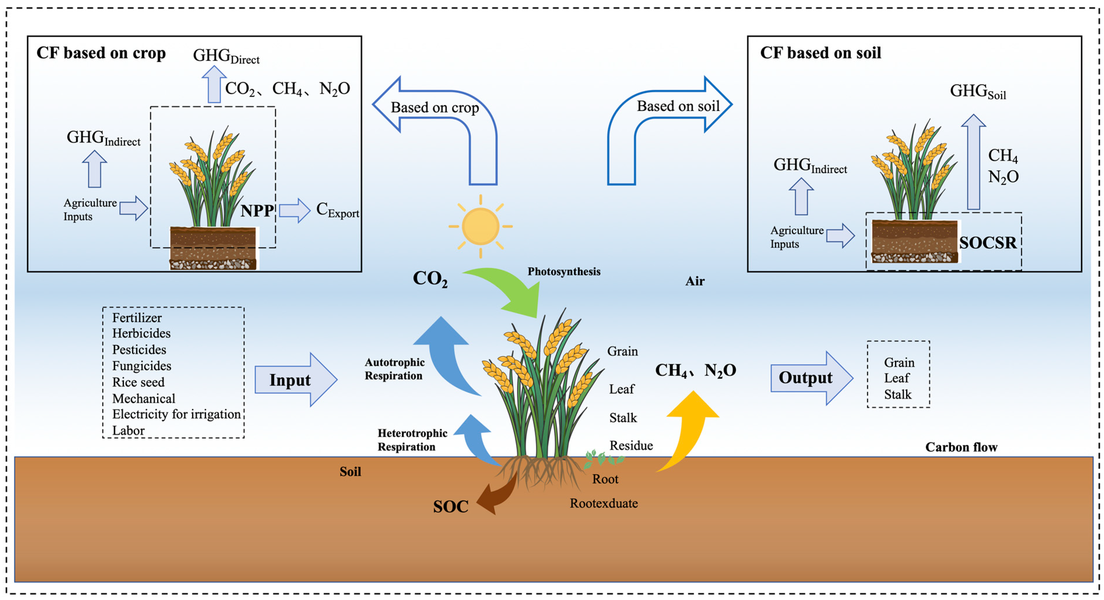 Agronomy 14 00803 g002