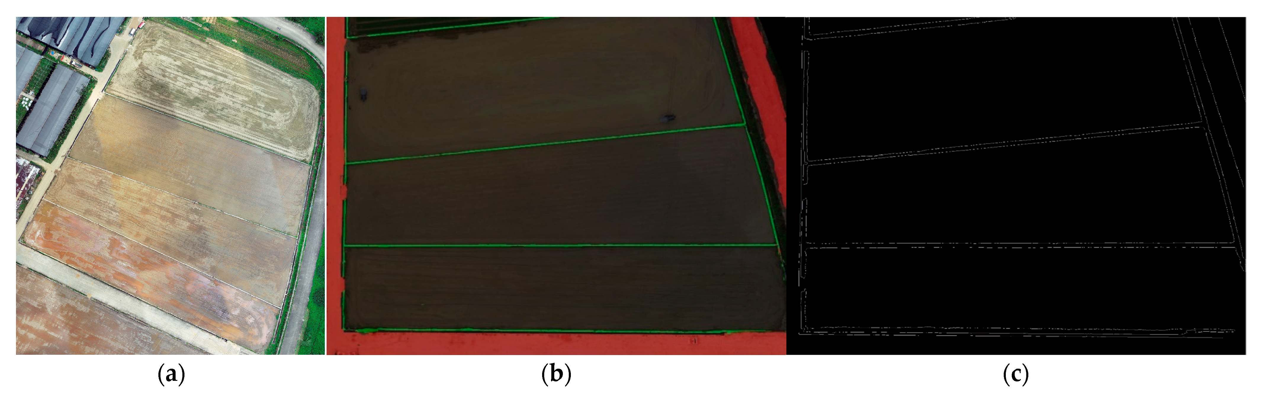 Agronomy 14 00804 g012