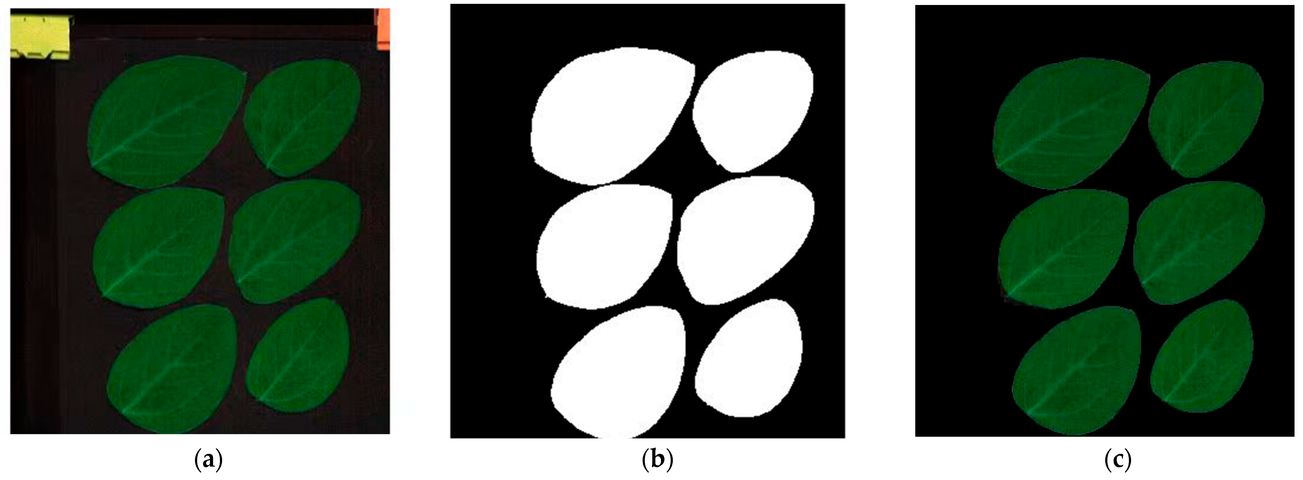 Agronomy 14 00806 g003