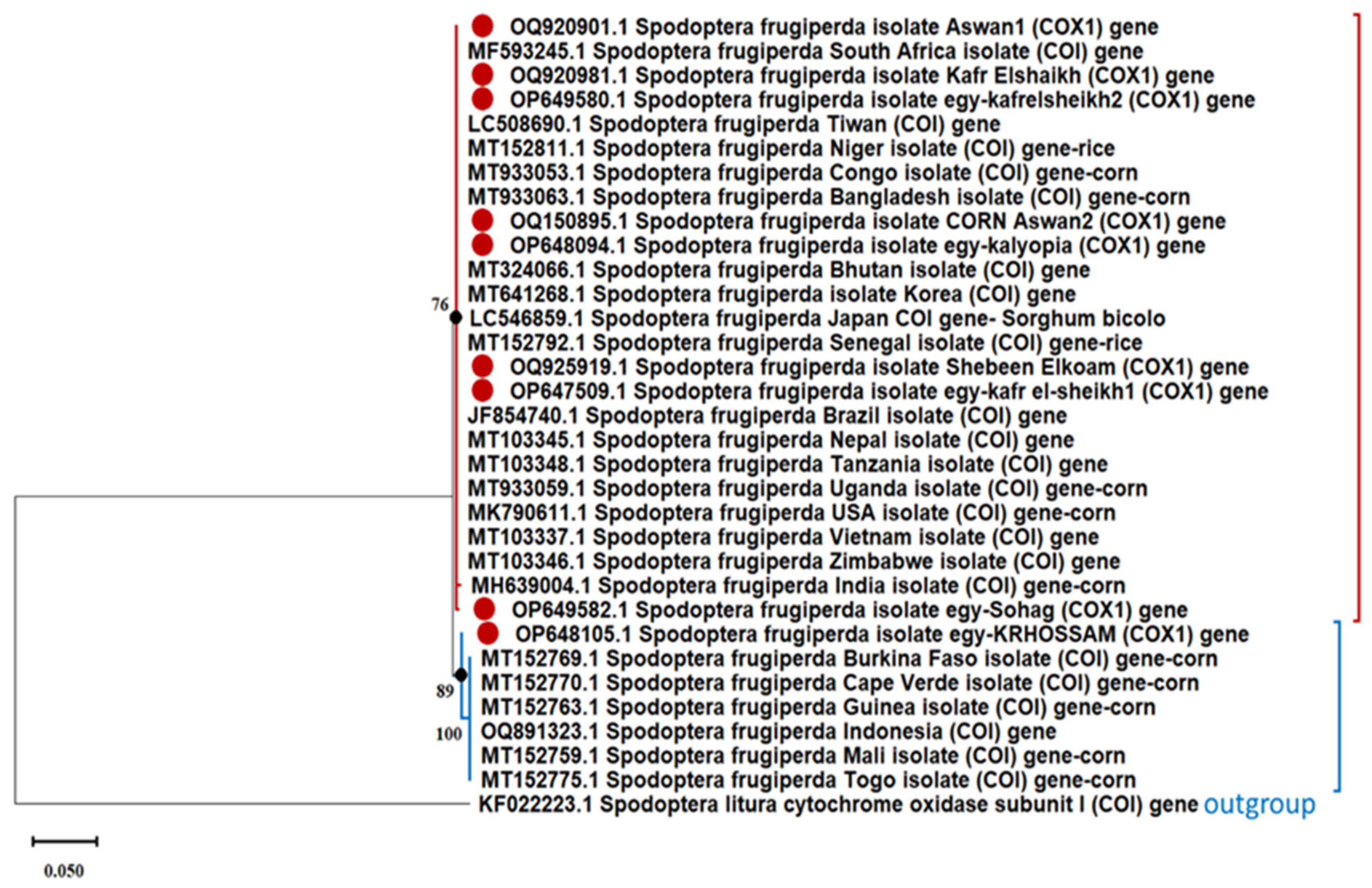 Agronomy 14 00809 g004