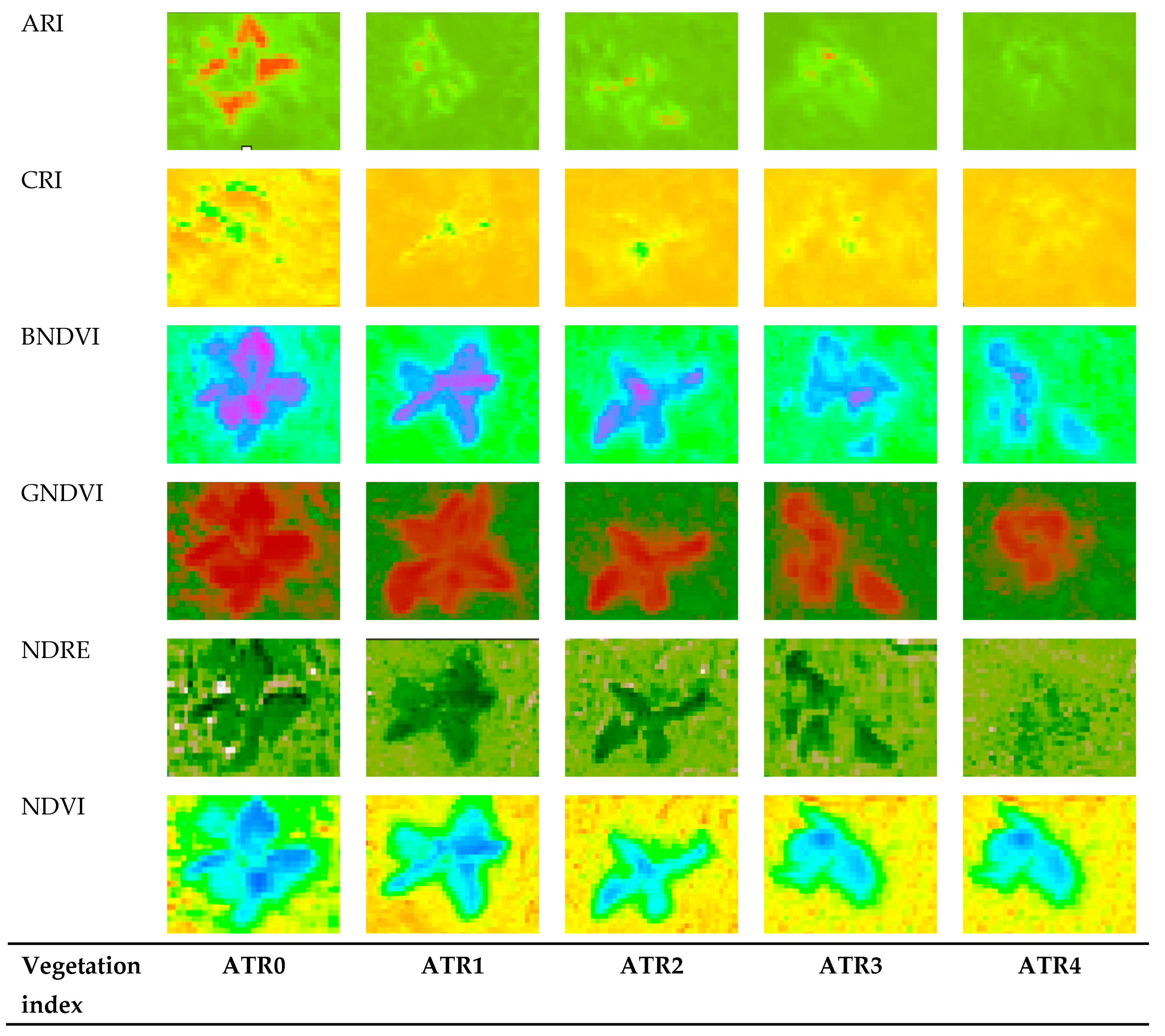 Agronomy 14 00814 g006