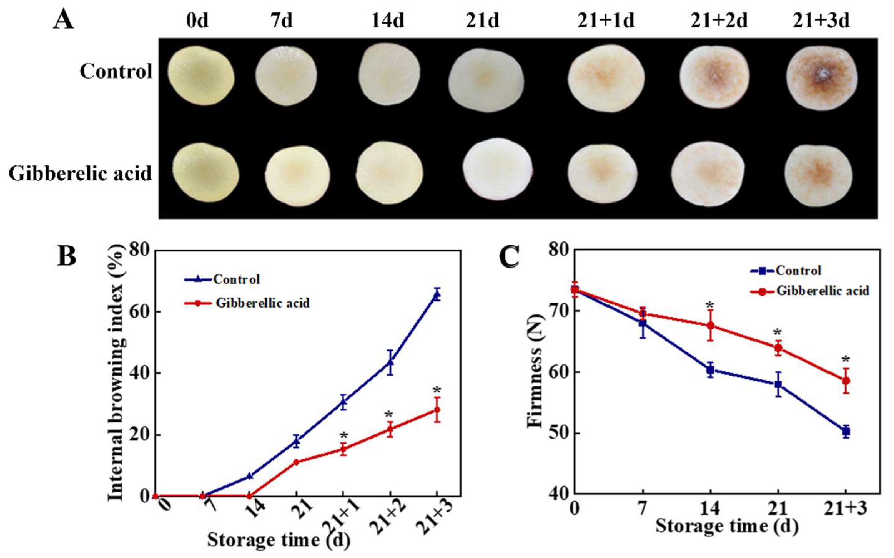 Agronomy 14 00816 g001