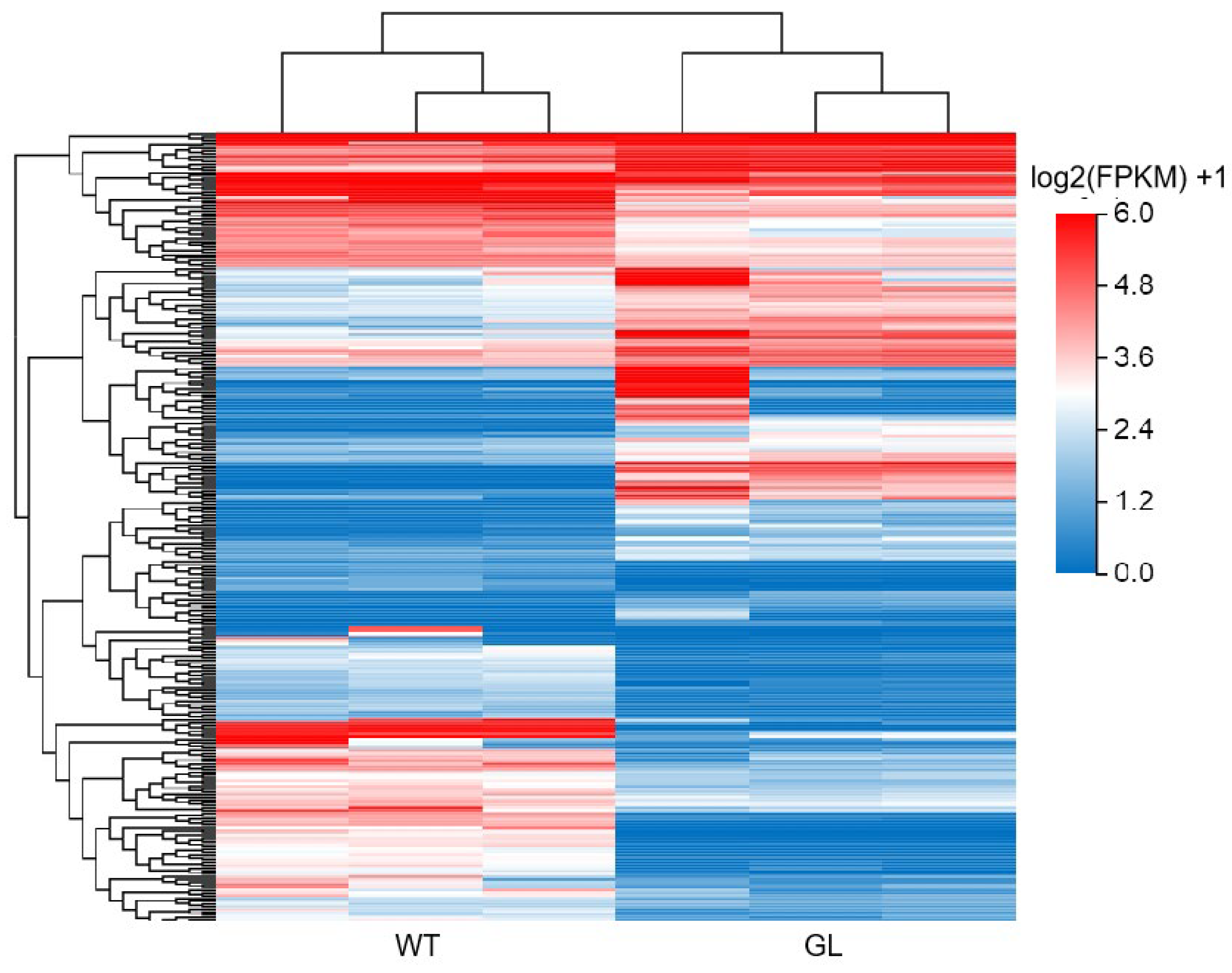 Agronomy 14 00828 g004