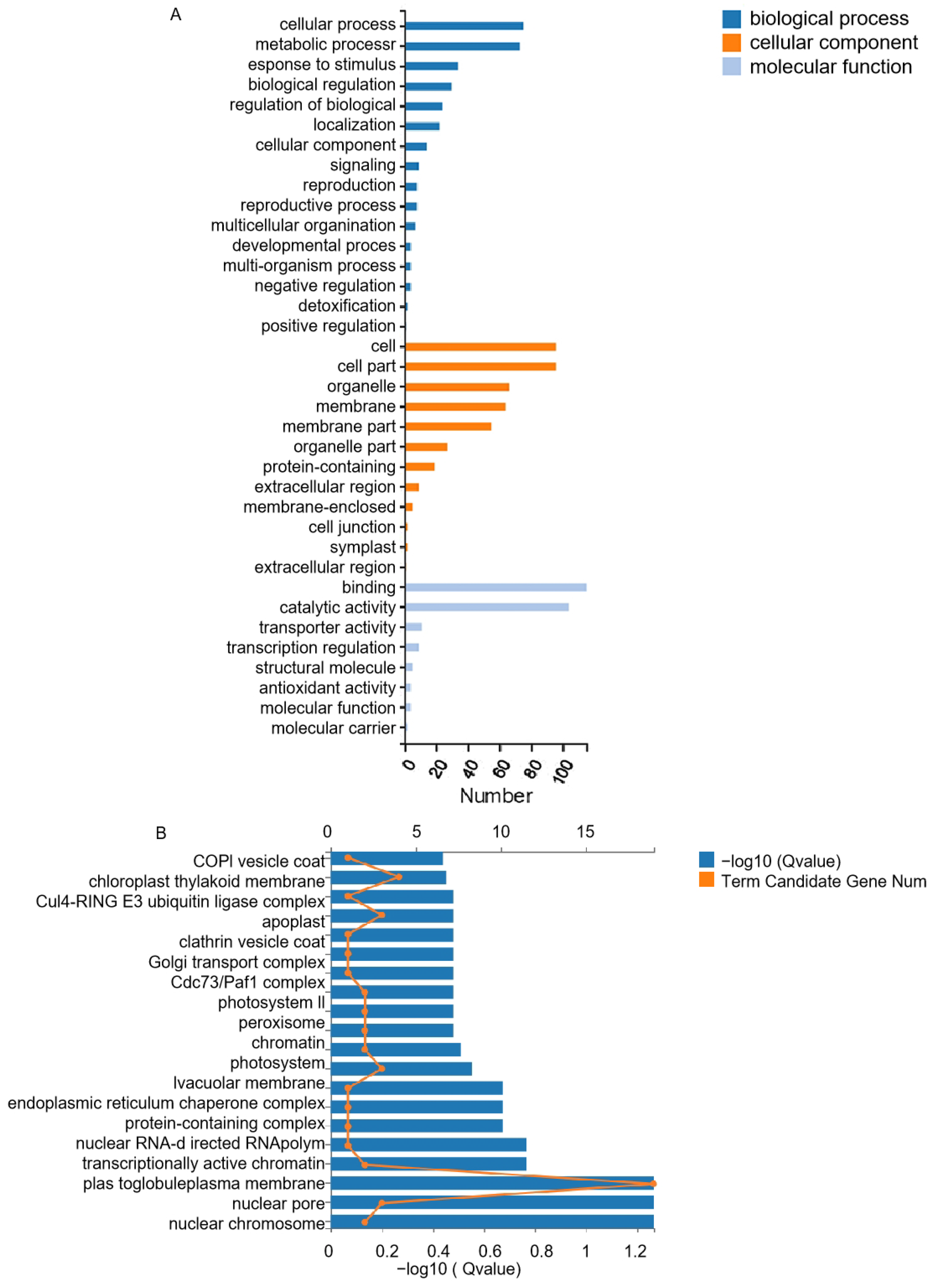 Agronomy 14 00828 g005