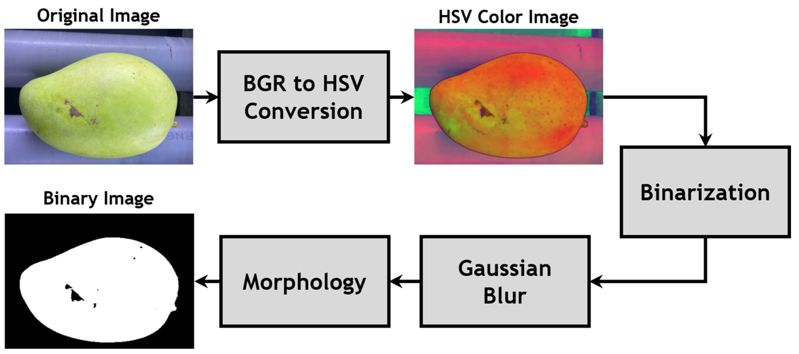Agronomy 14 00831 g003