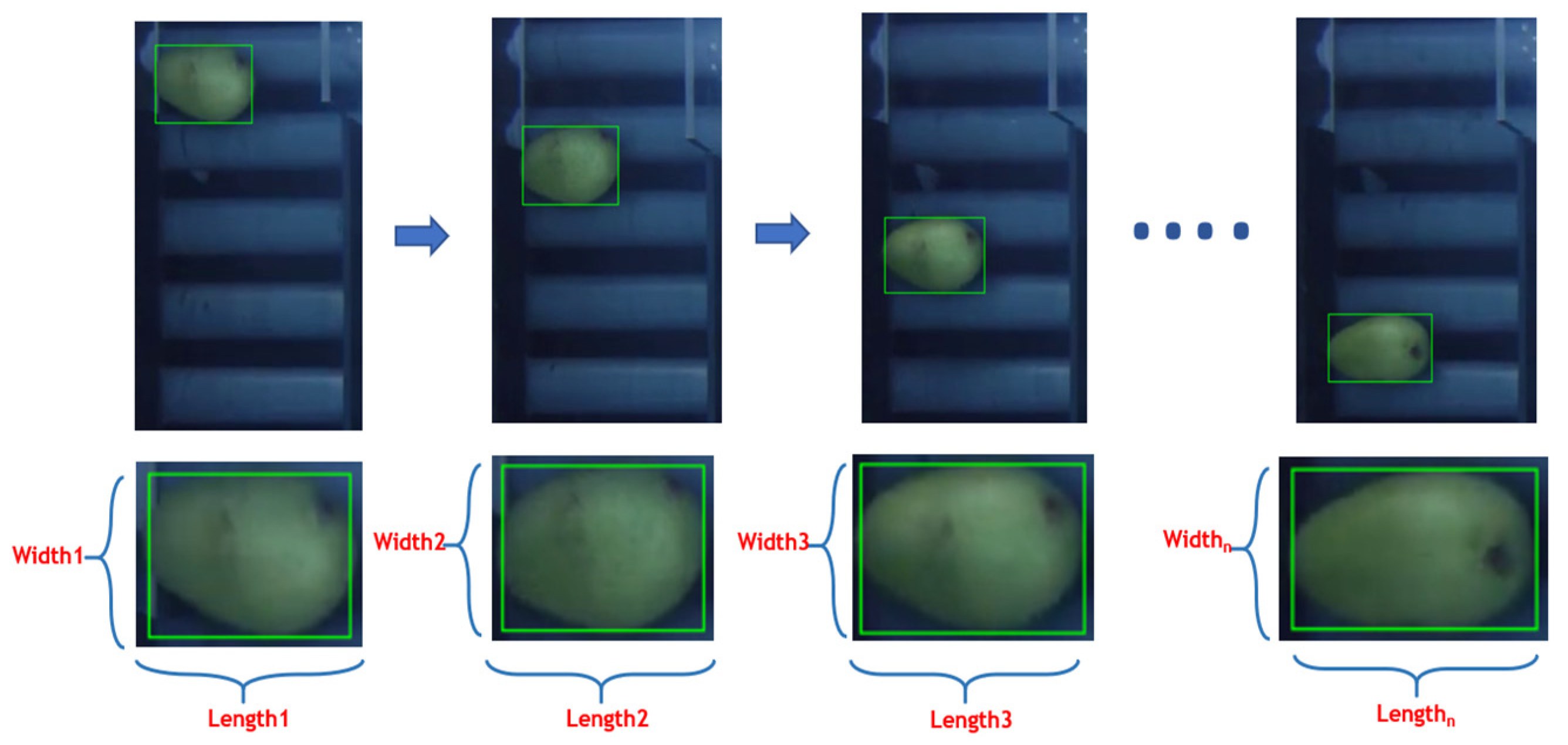 Agronomy 14 00831 g005