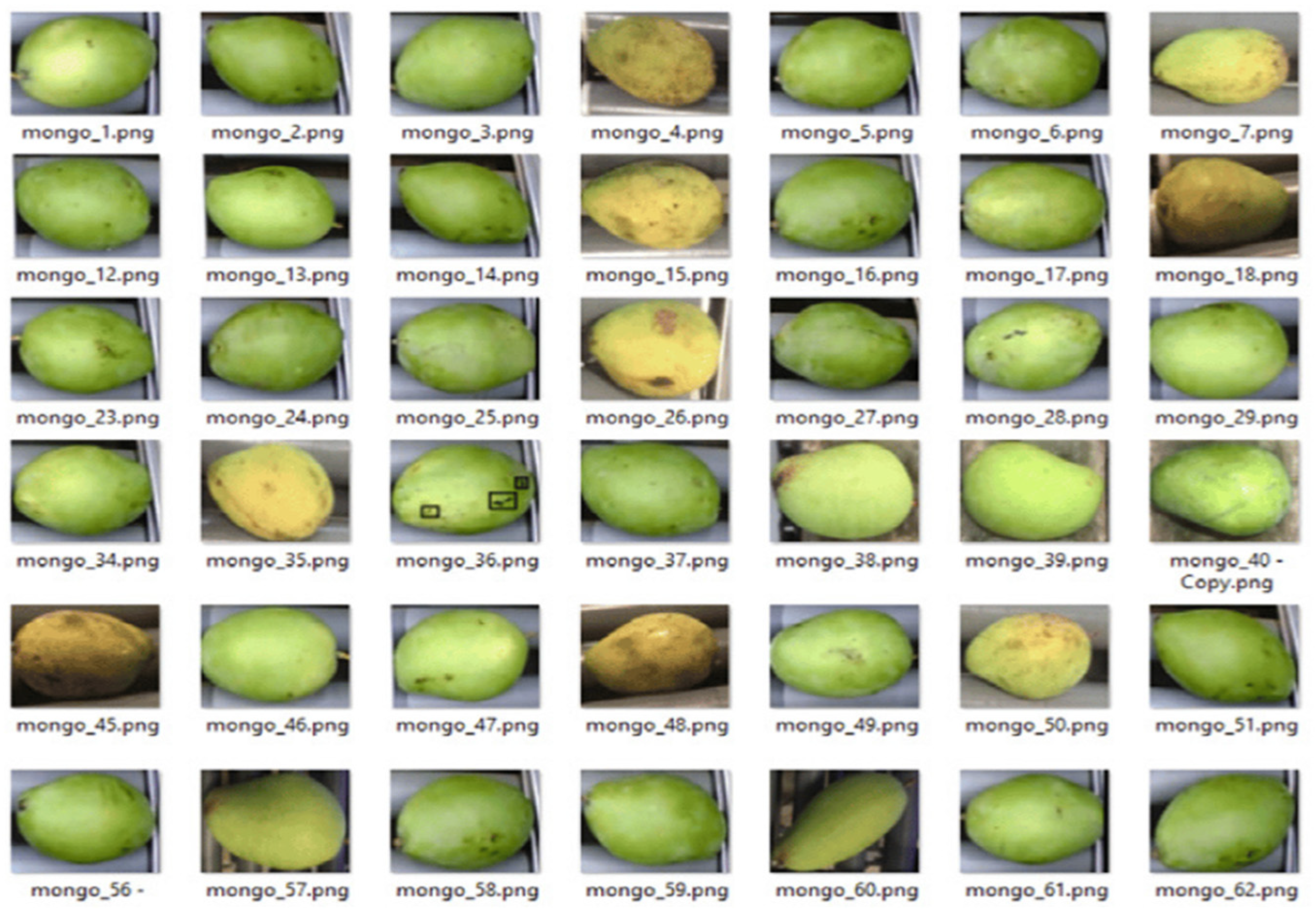 Agronomy 14 00831 g006