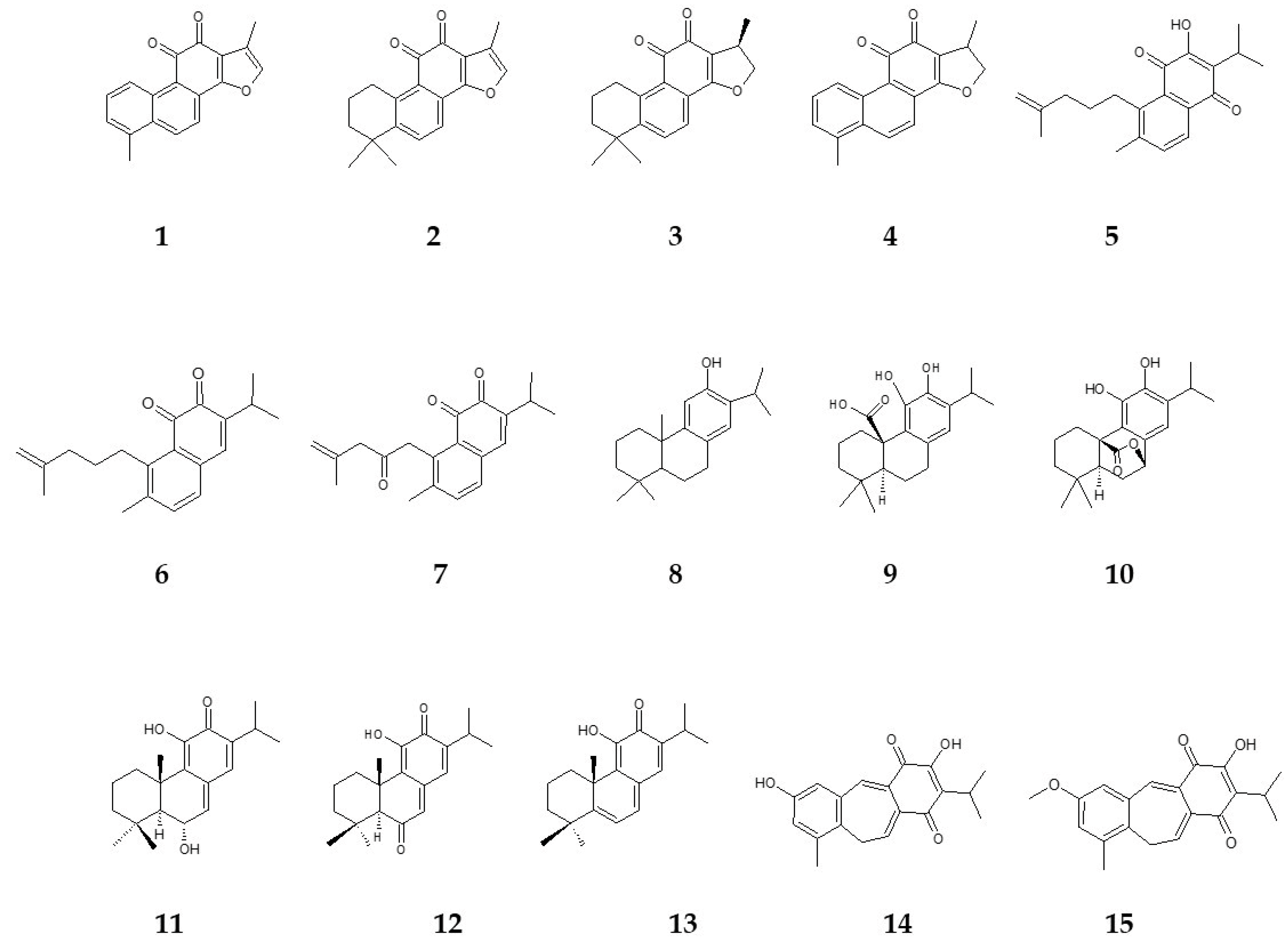 Agronomy 14 00835 g001