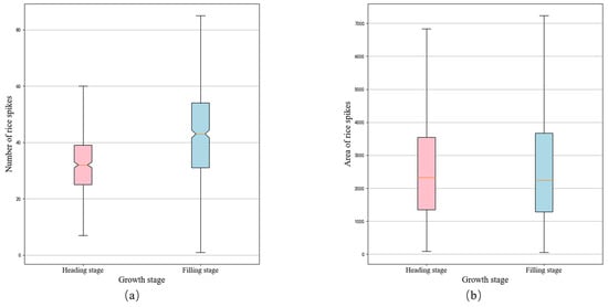 Agronomy | Free Full-Text | RICE-YOLO: In-Field Rice Spike Detection ...