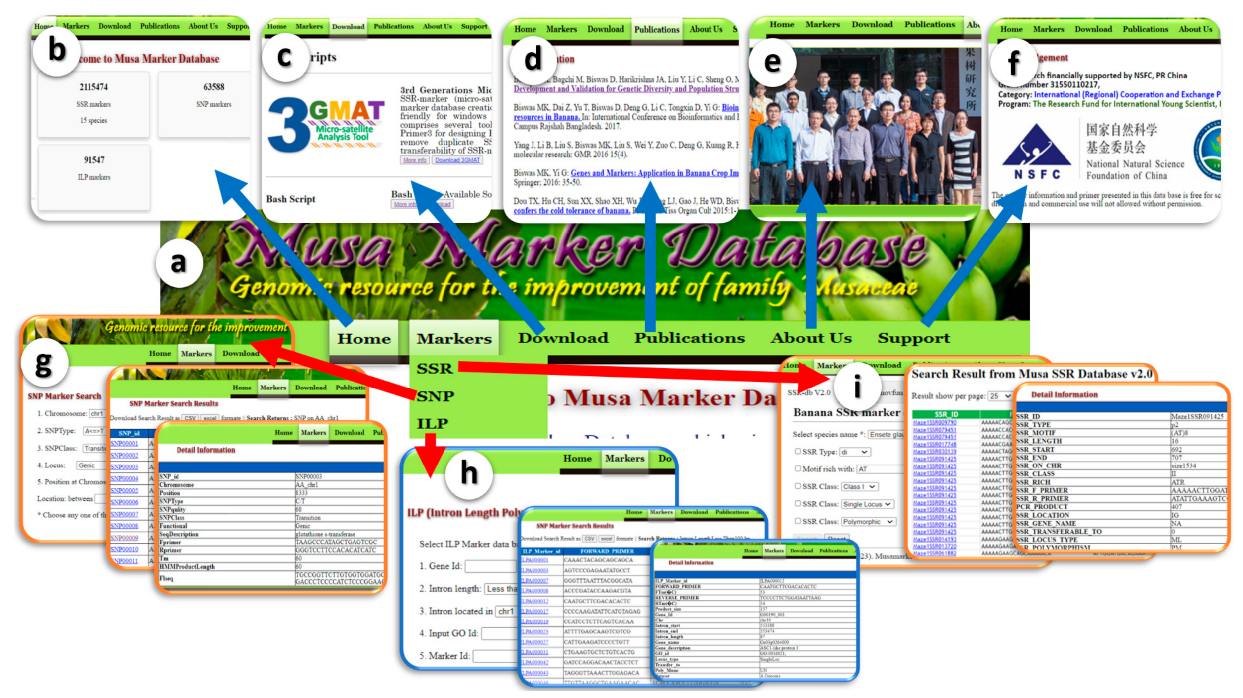 Agronomy 14 00838 g004