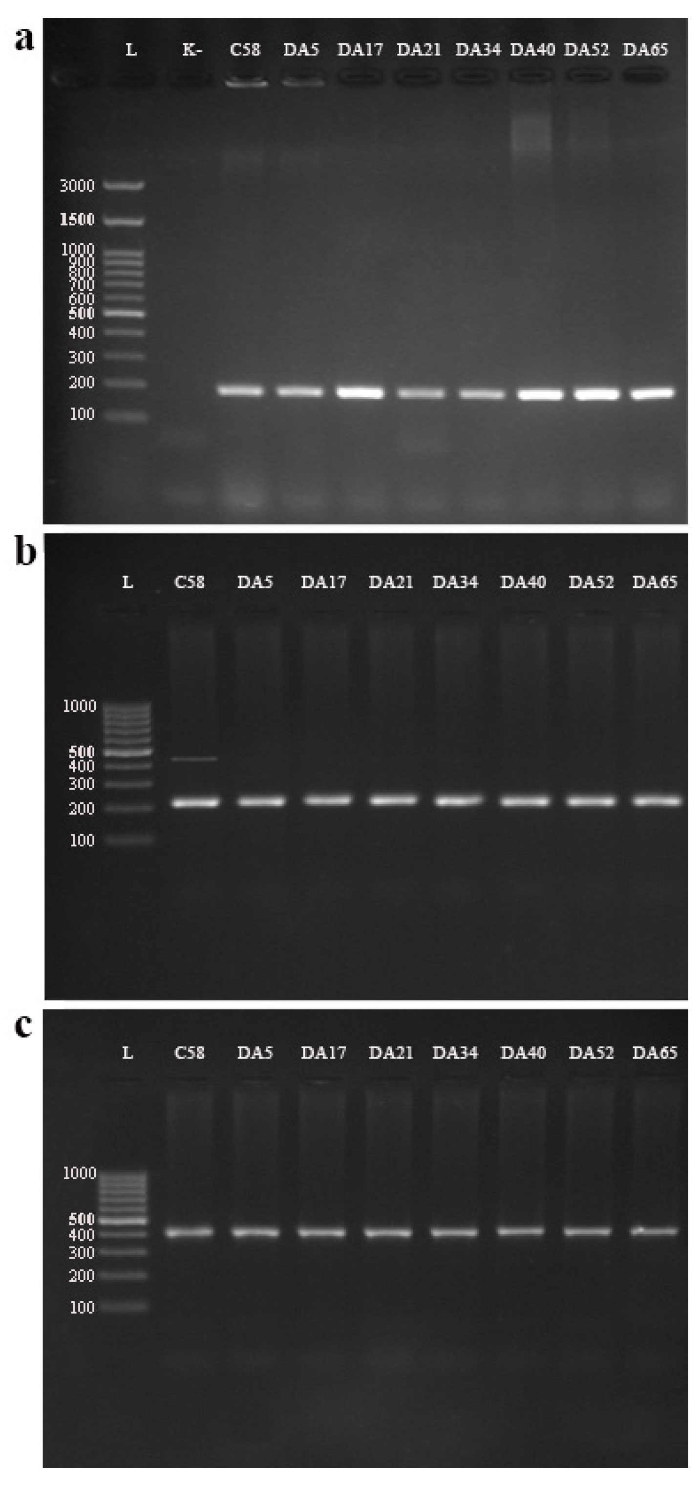 Agronomy 14 00851 g002 Agronomy 14 00851 g002