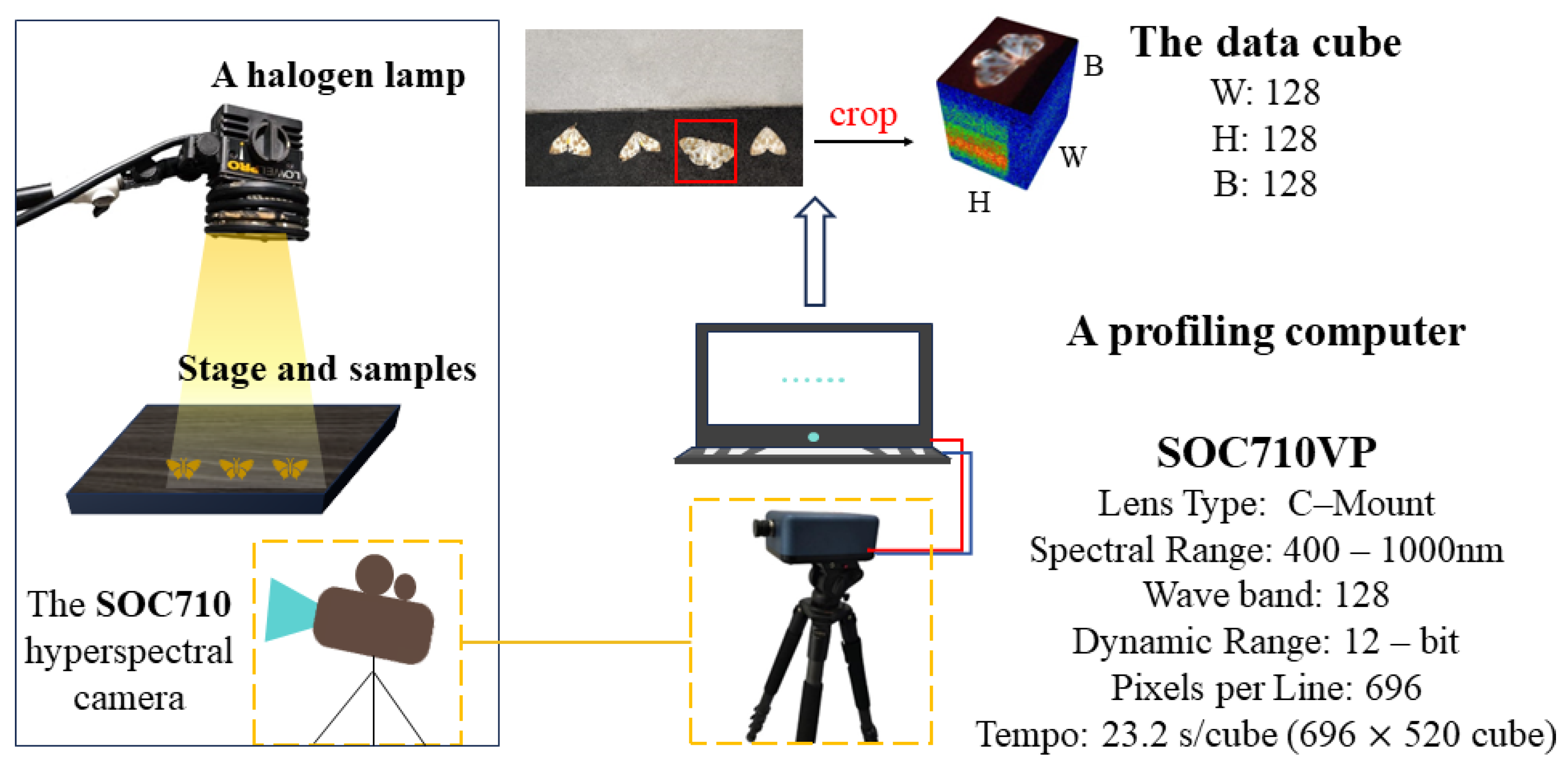 Agronomy 14 00863 g002