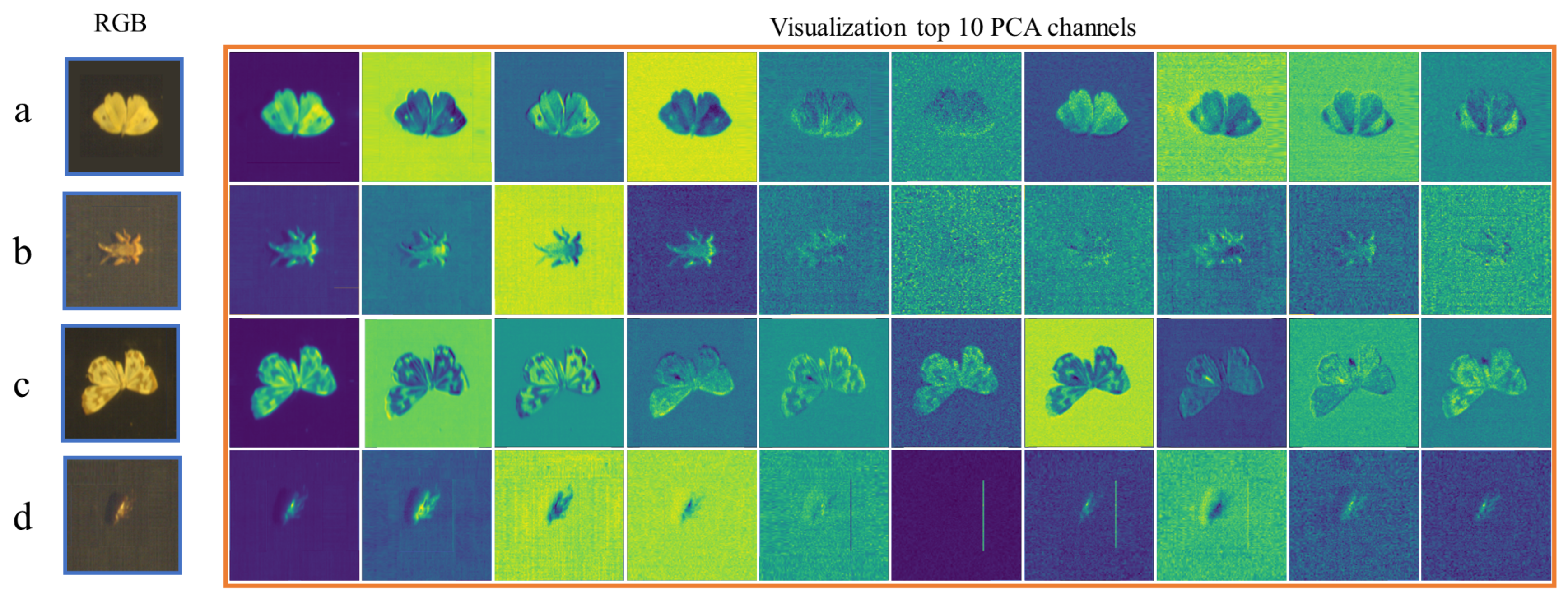 Agronomy 14 00863 g005