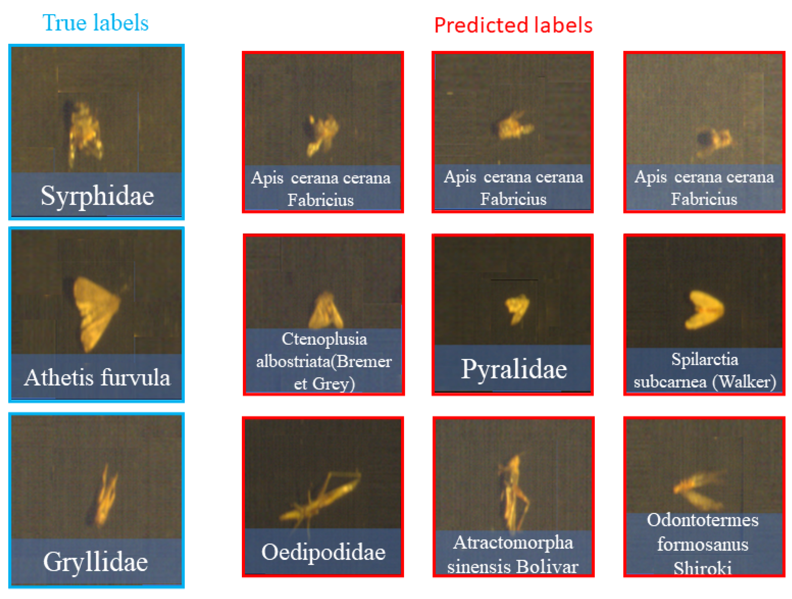 Agronomy 14 00863 g009
