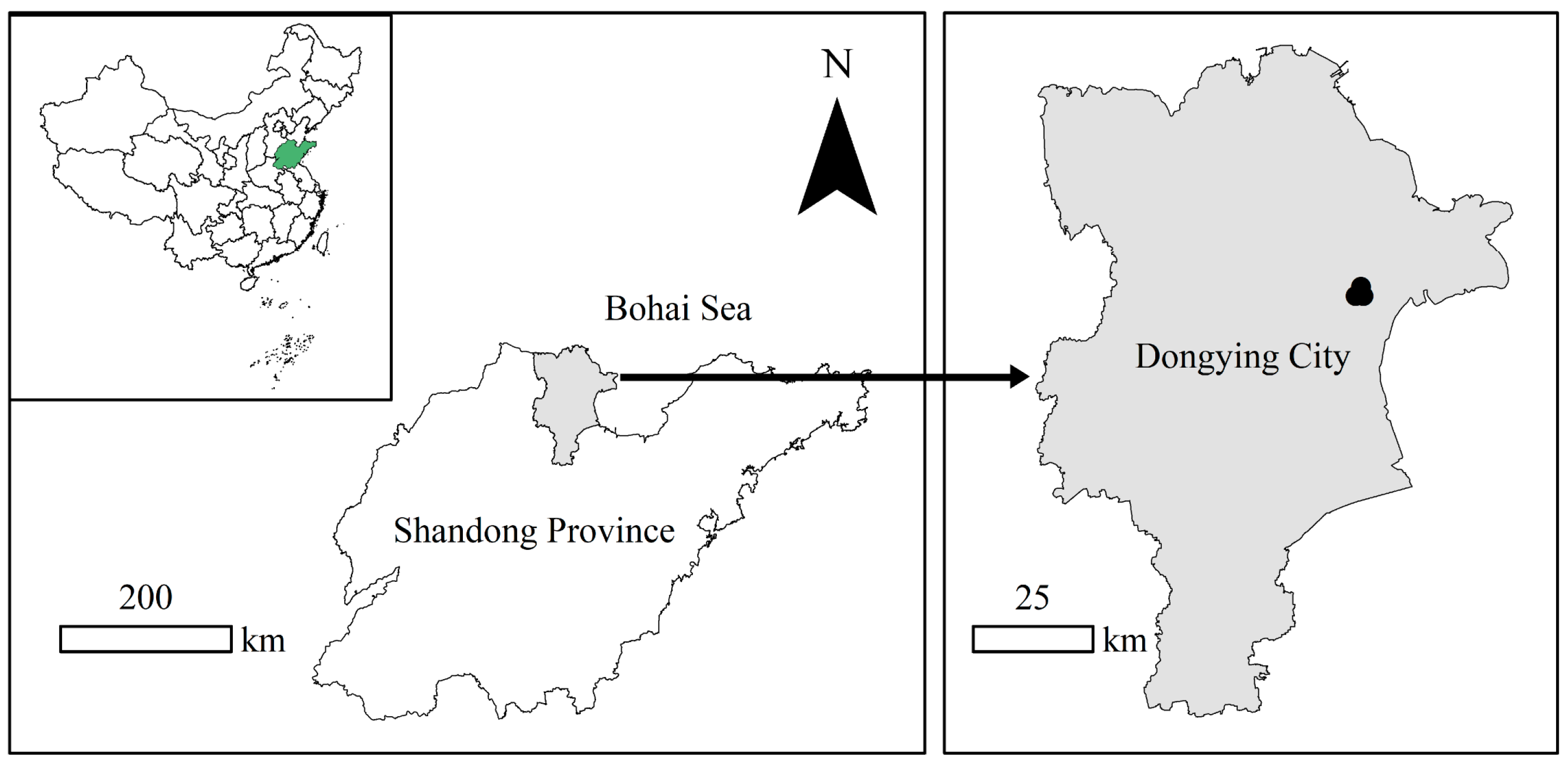 Agronomy 14 00869 g001