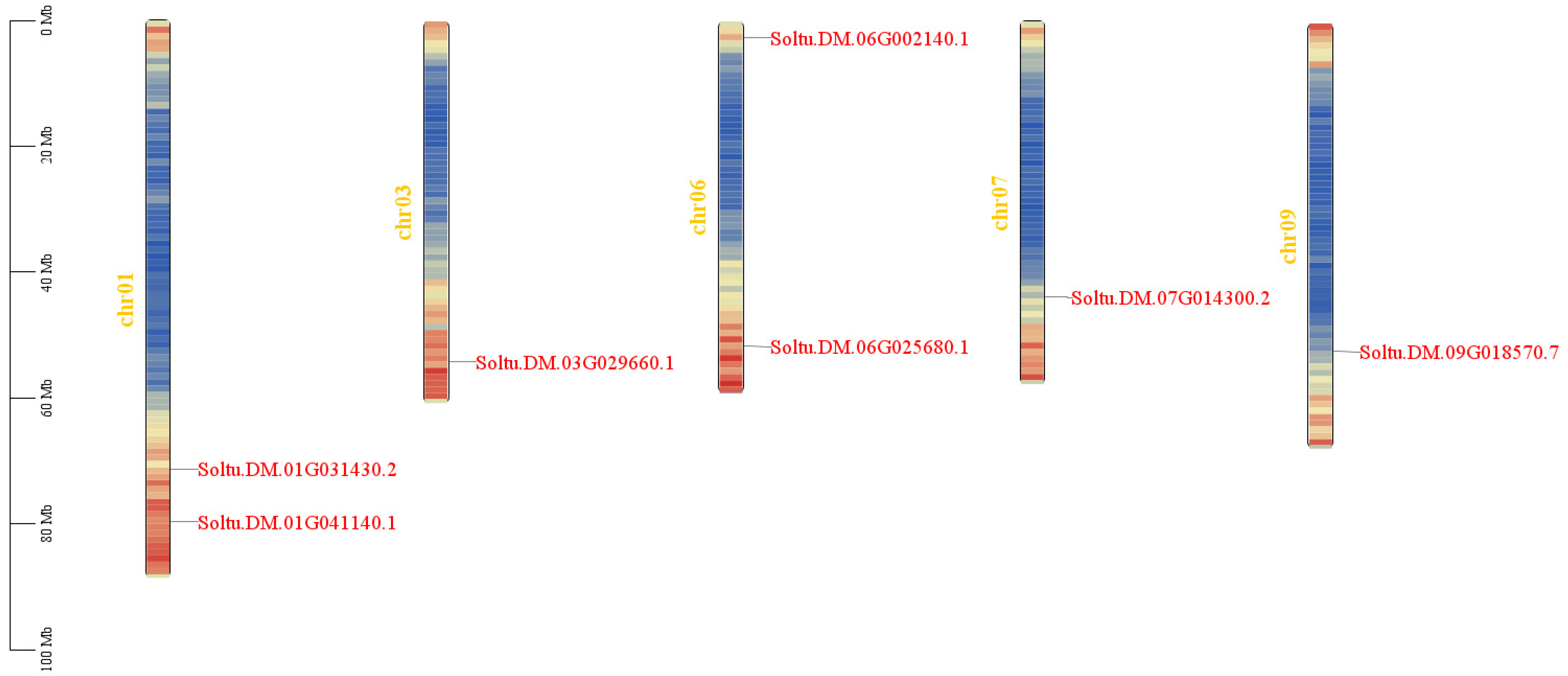 Agronomy 14 00873 g001