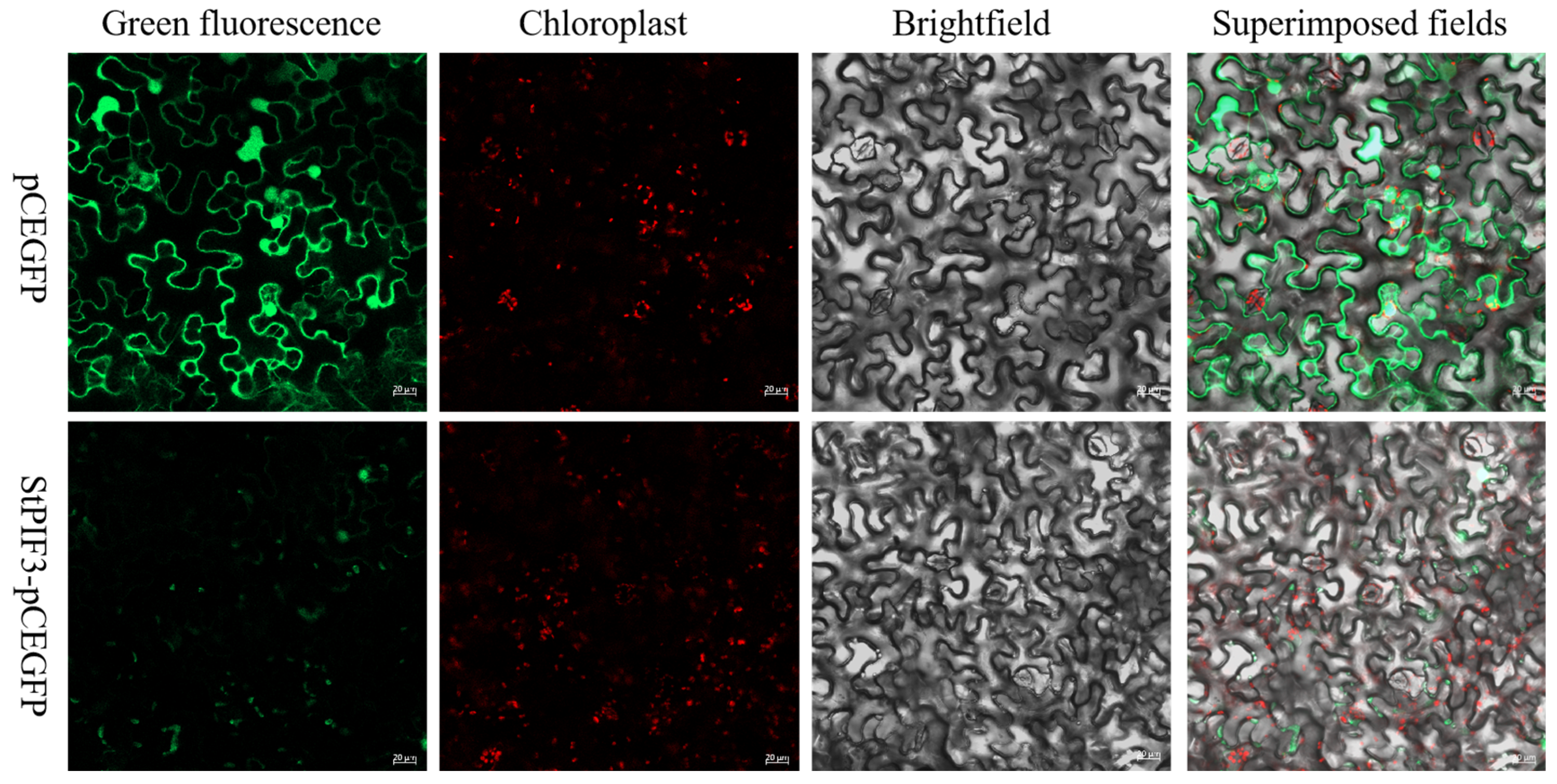 Agronomy 14 00873 g009