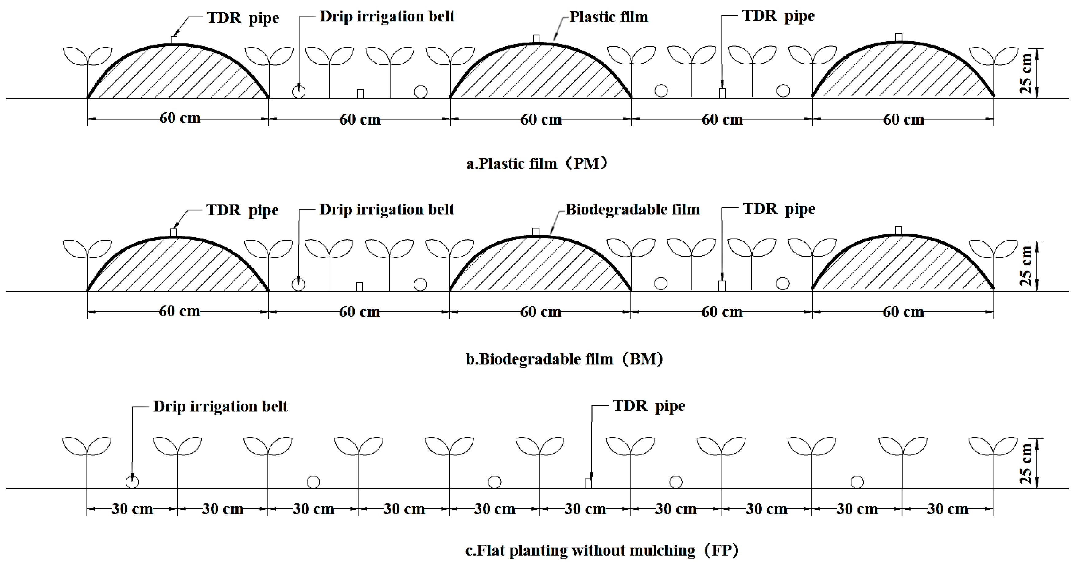 Agronomy 14 00874 g002