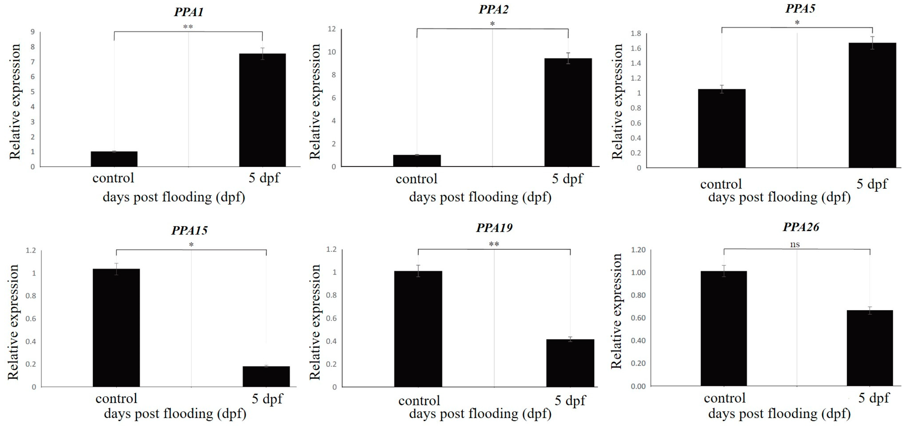 Agronomy 14 00908 g006