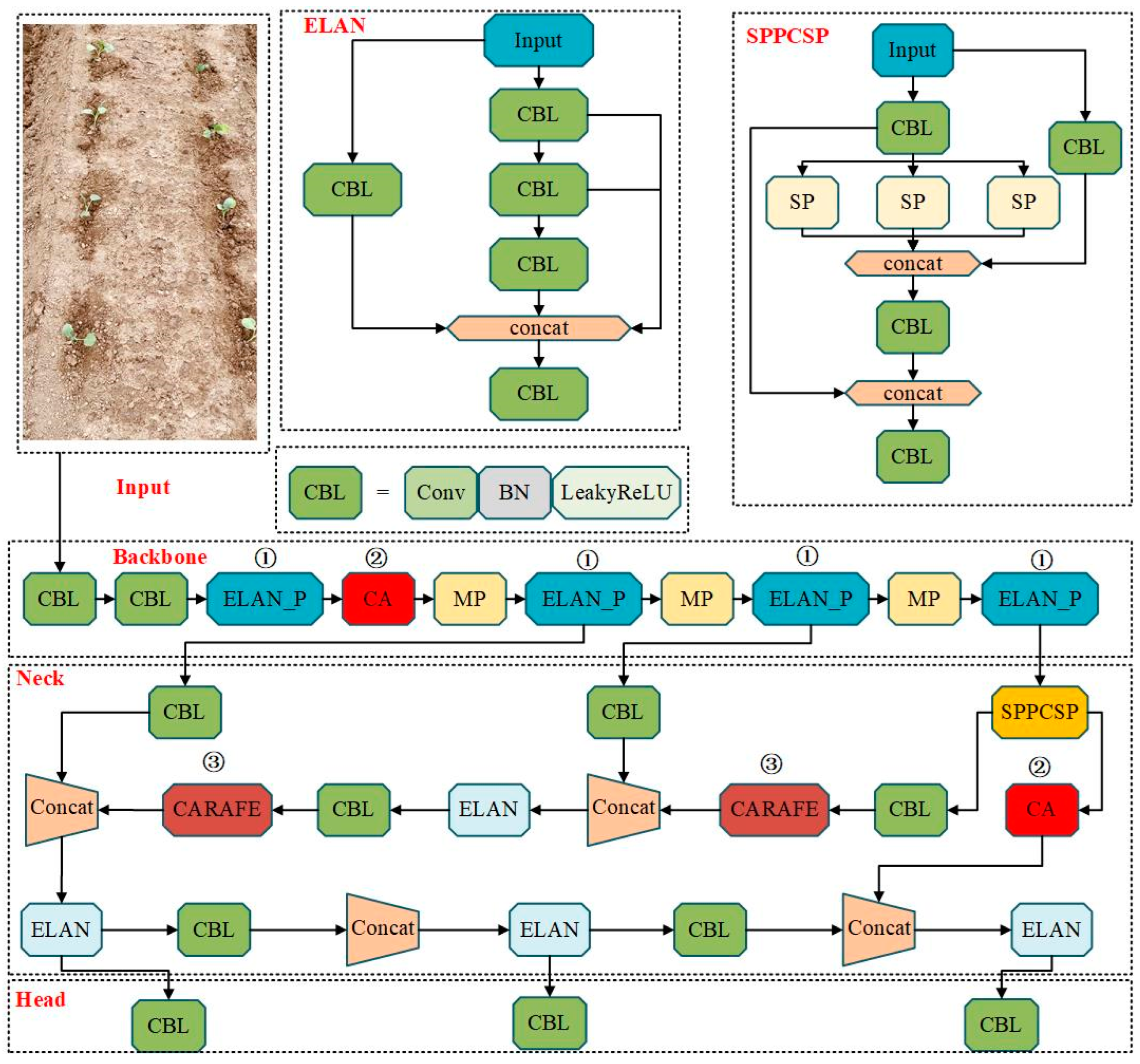 Agronomy 14 00931 g005