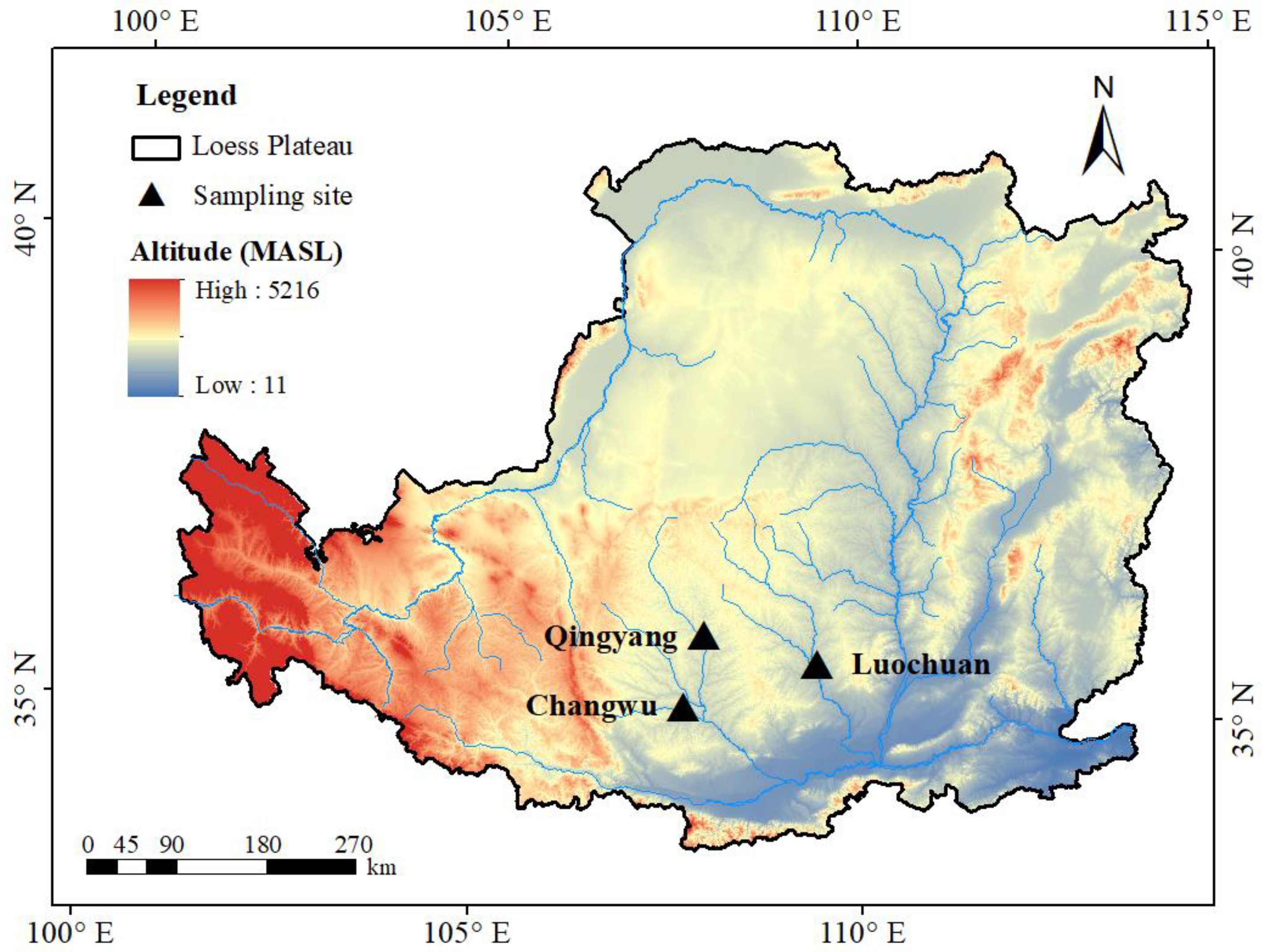 Agronomy 14 00963 g001