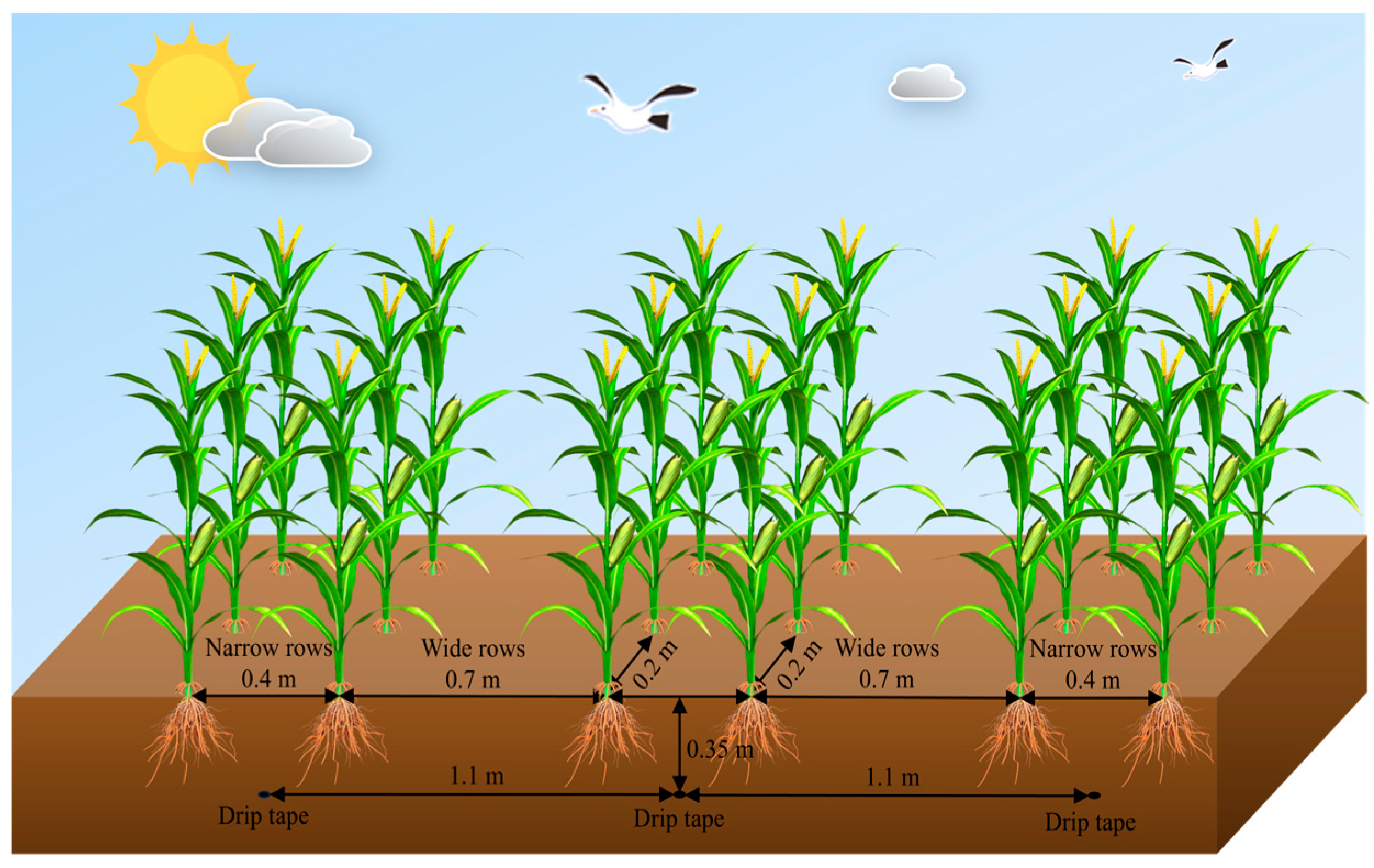 Agronomy 14 01018 g003 Agronomy 14 01018 g003