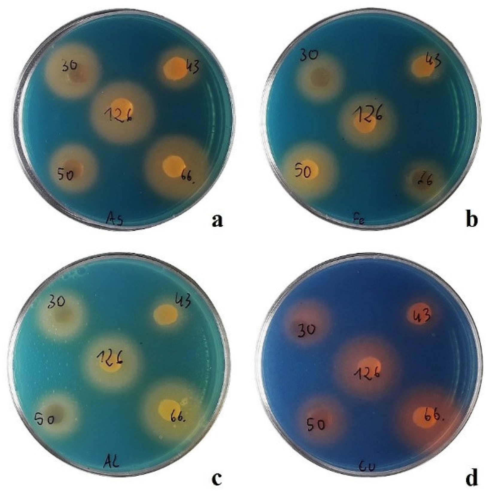 Agronomy 14 01062 g004 Agronomy 14 01062 g004
