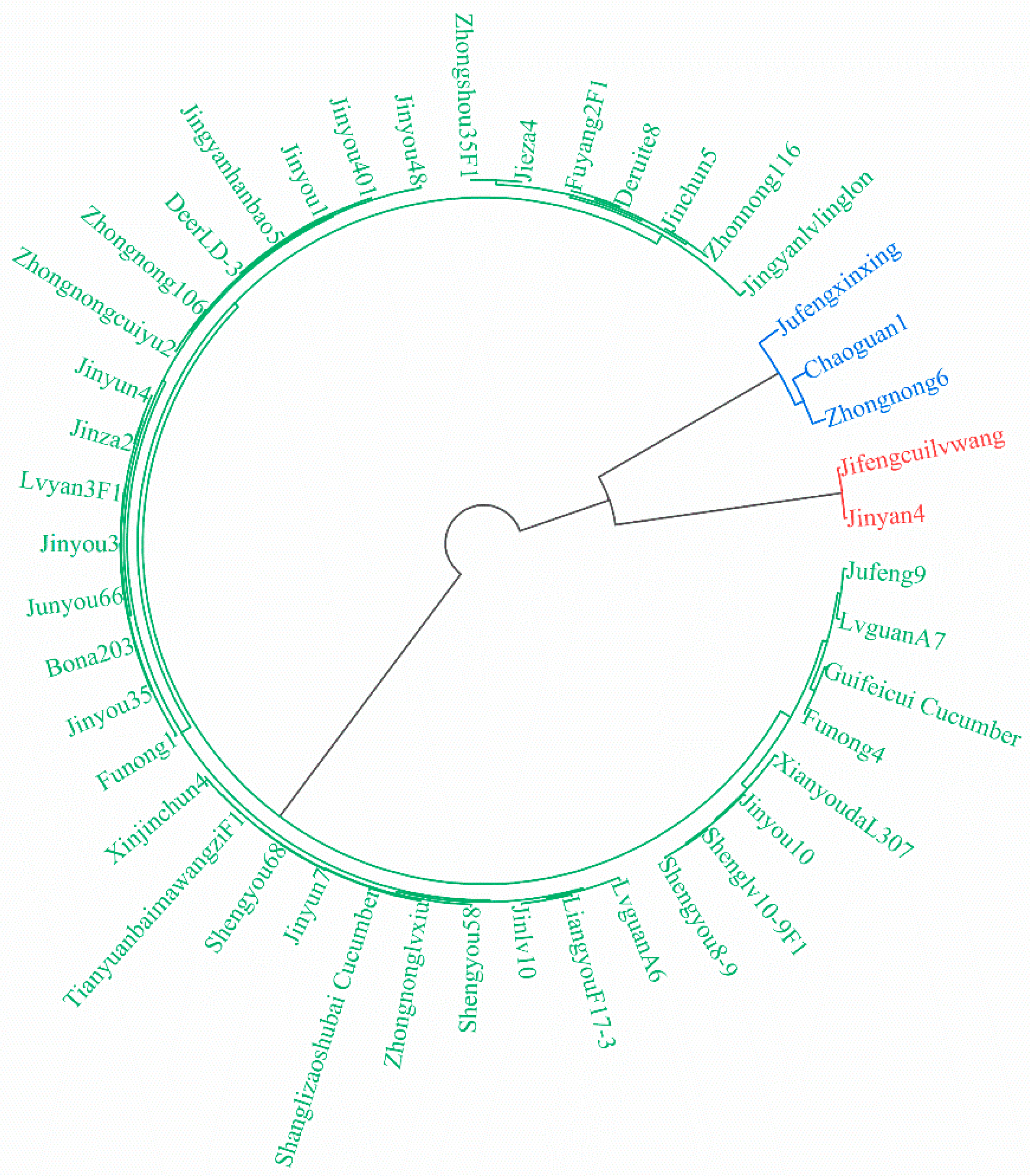 Agronomy 14 01081 g001