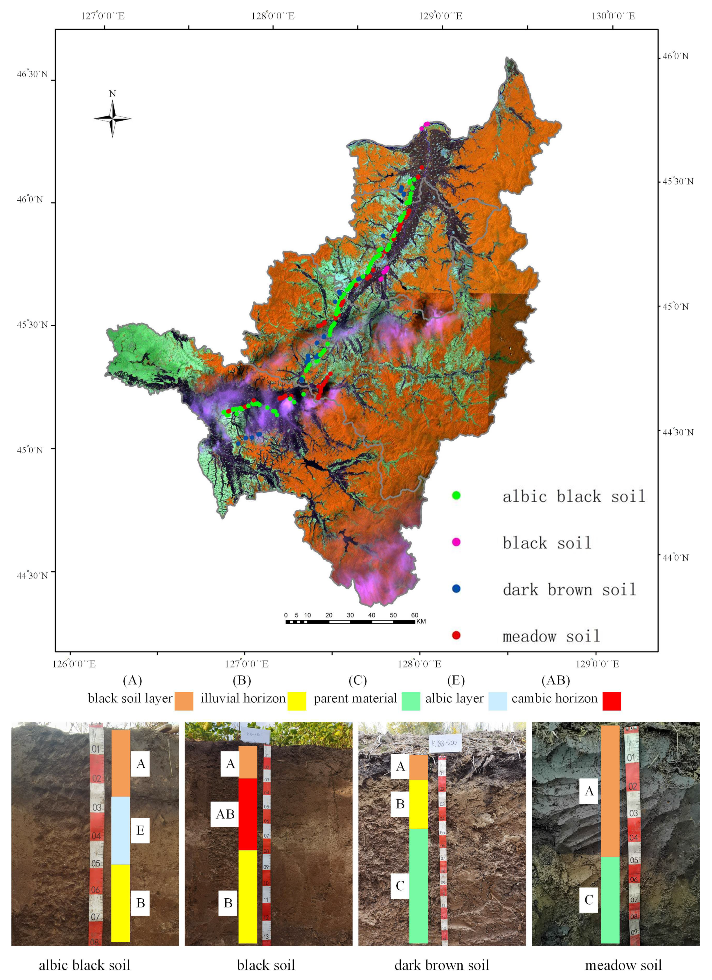 Agronomy 14 01094 g001
