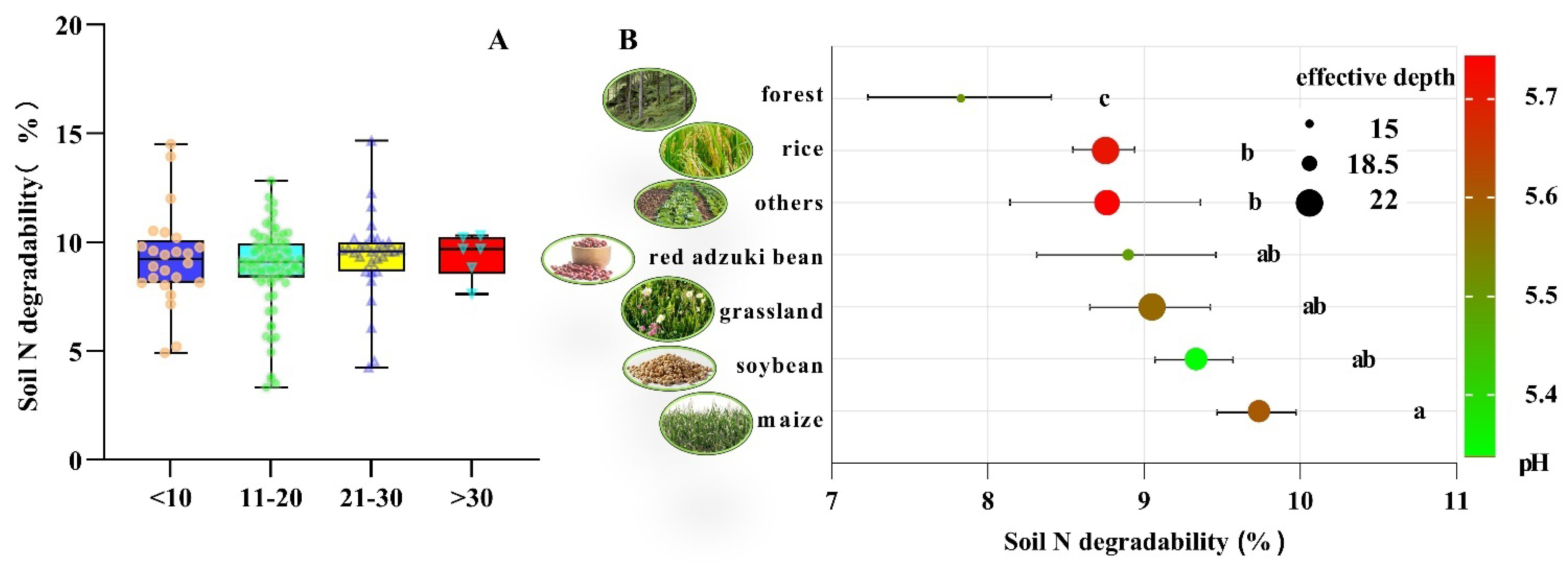 Agronomy 14 01094 g005