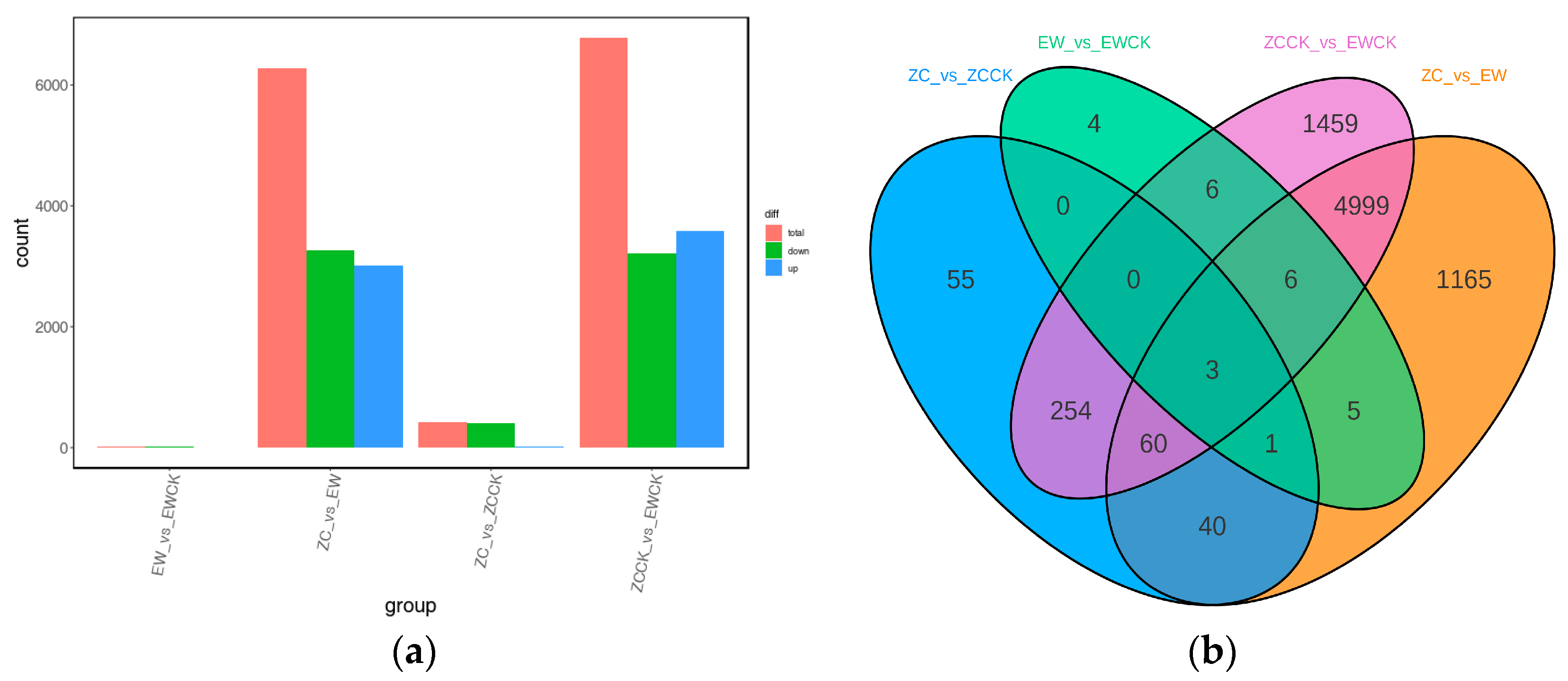 Agronomy 14 01105 g005