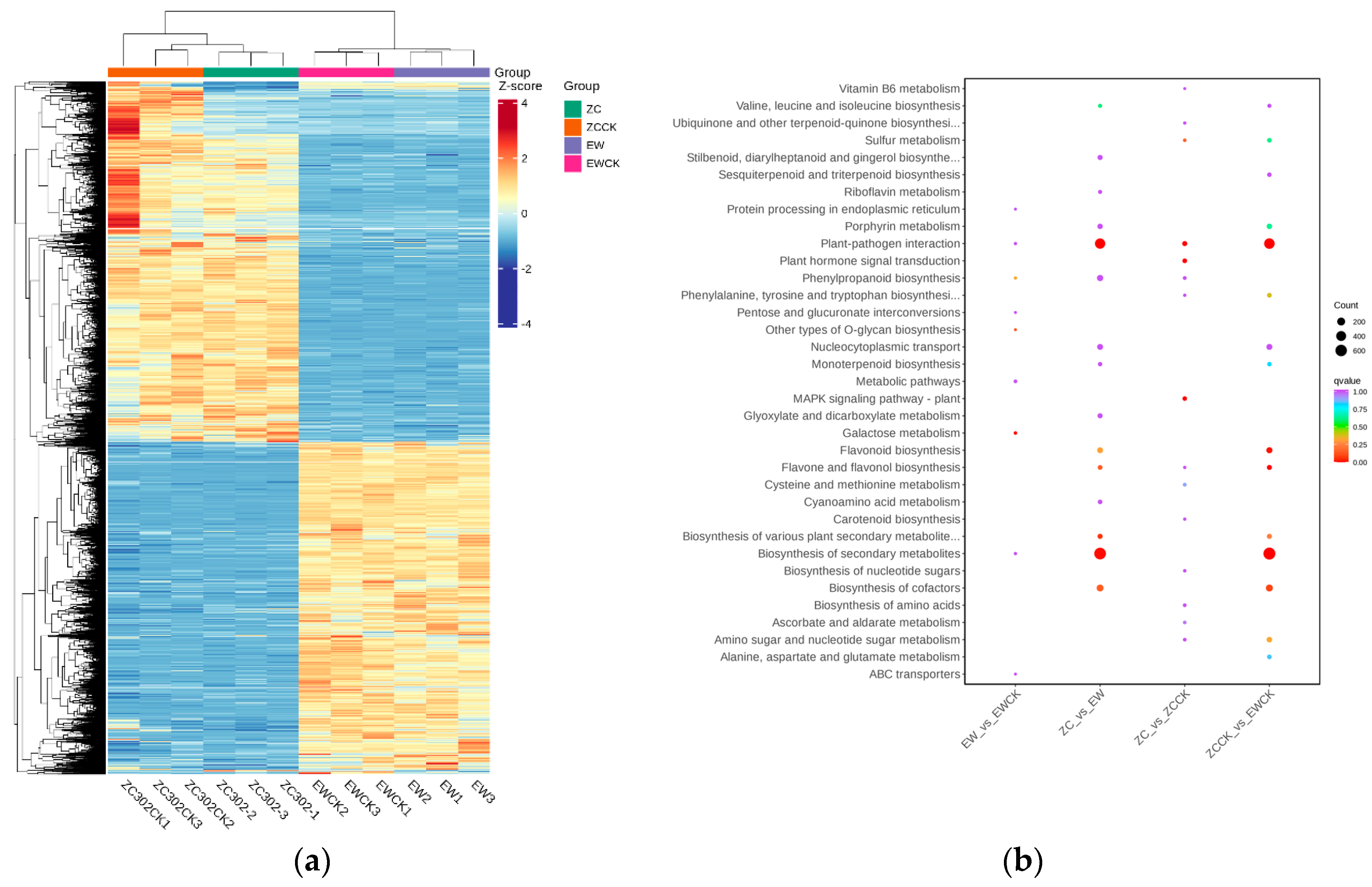 Agronomy 14 01105 g006