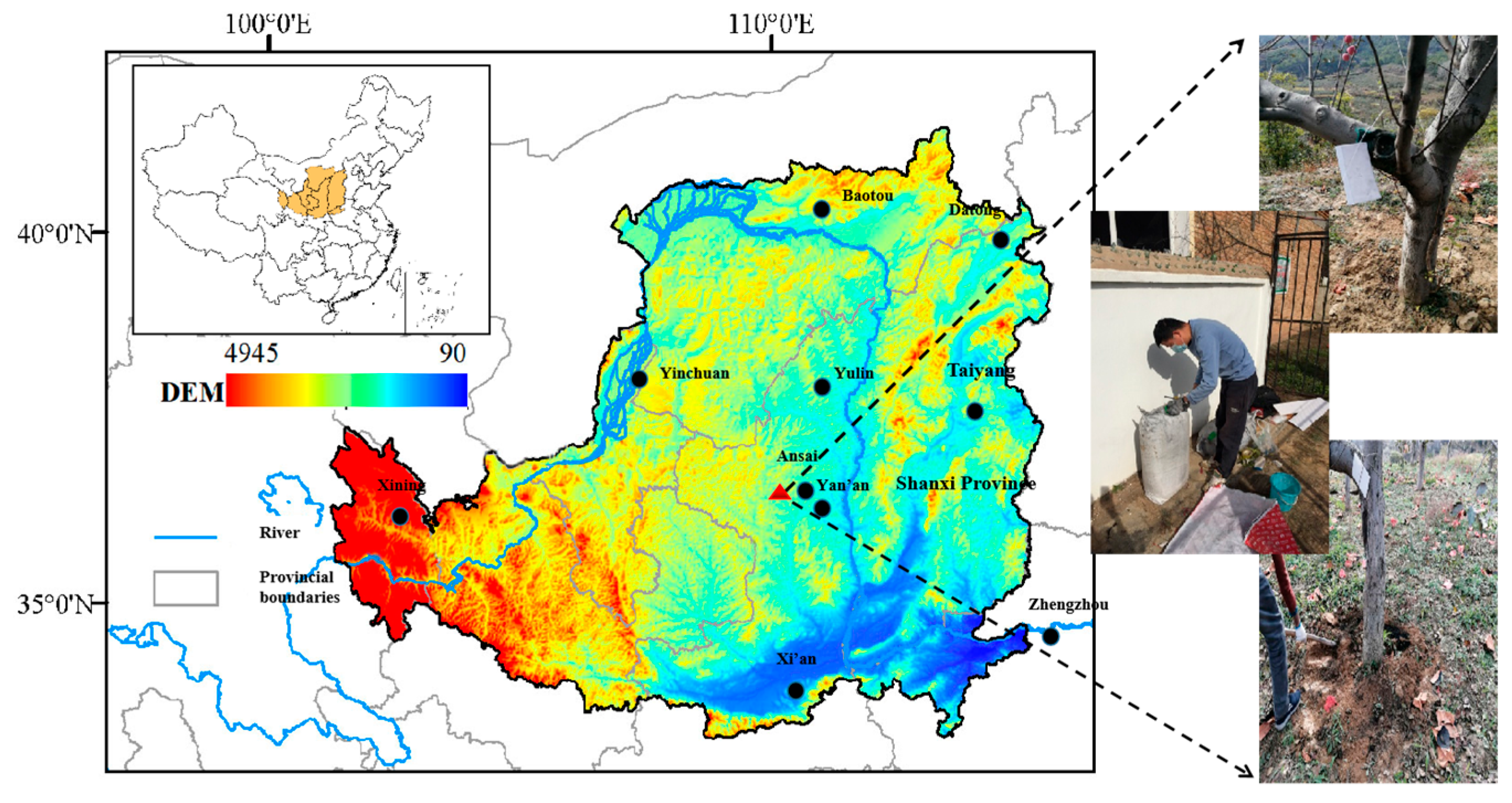 Agronomy 14 01125 g001