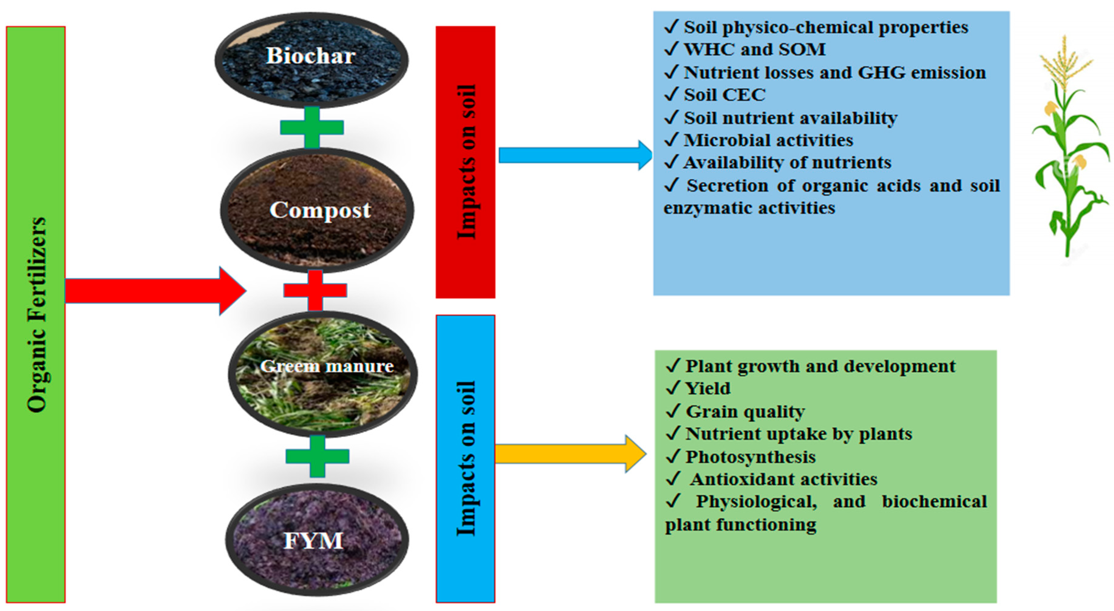 Agronomy 14 01141 g002 Agronomy 14 01141 g002