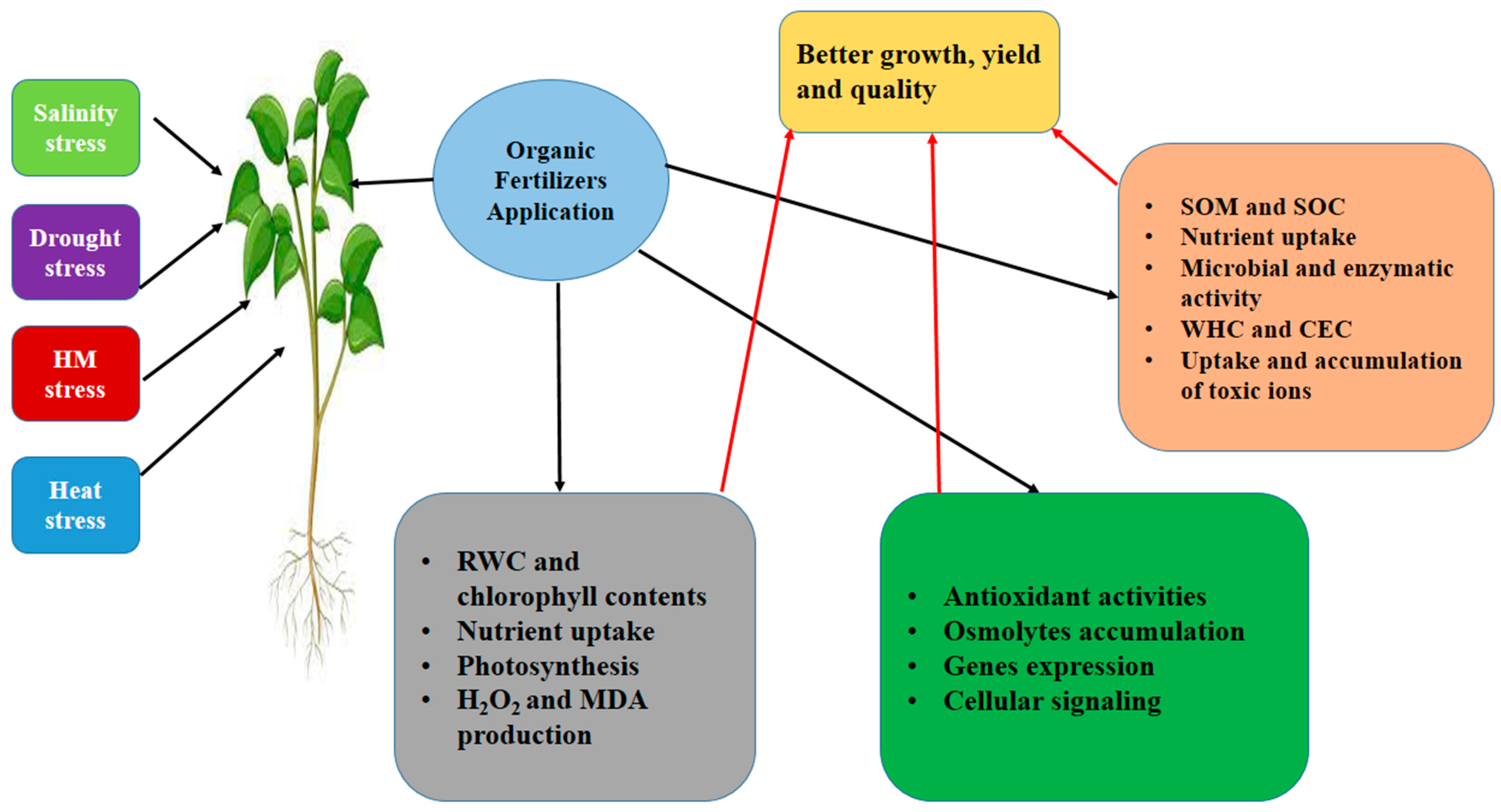Agronomy 14 01141 g003 Agronomy 14 01141 g003