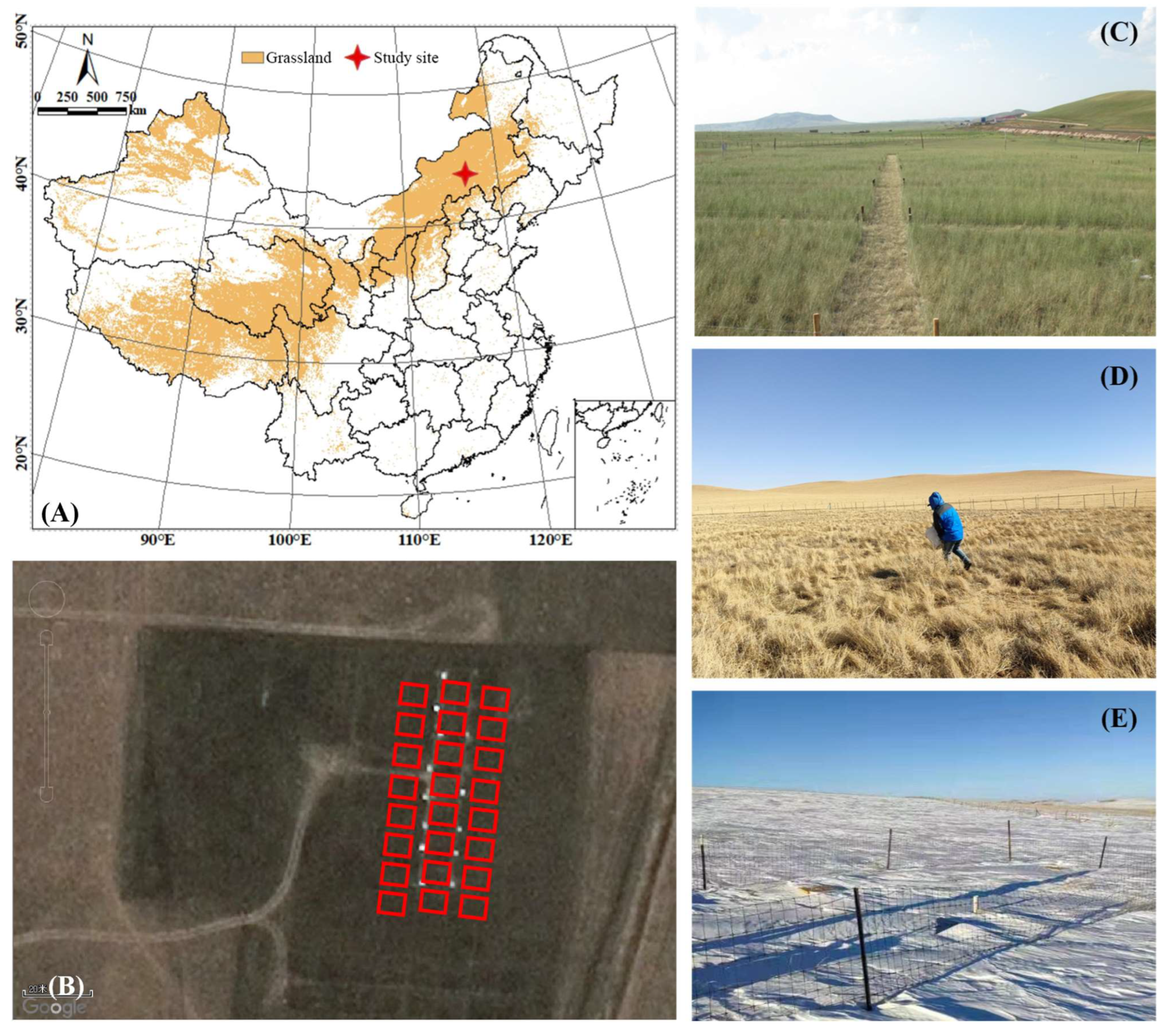 Agronomy 14 01153 g001