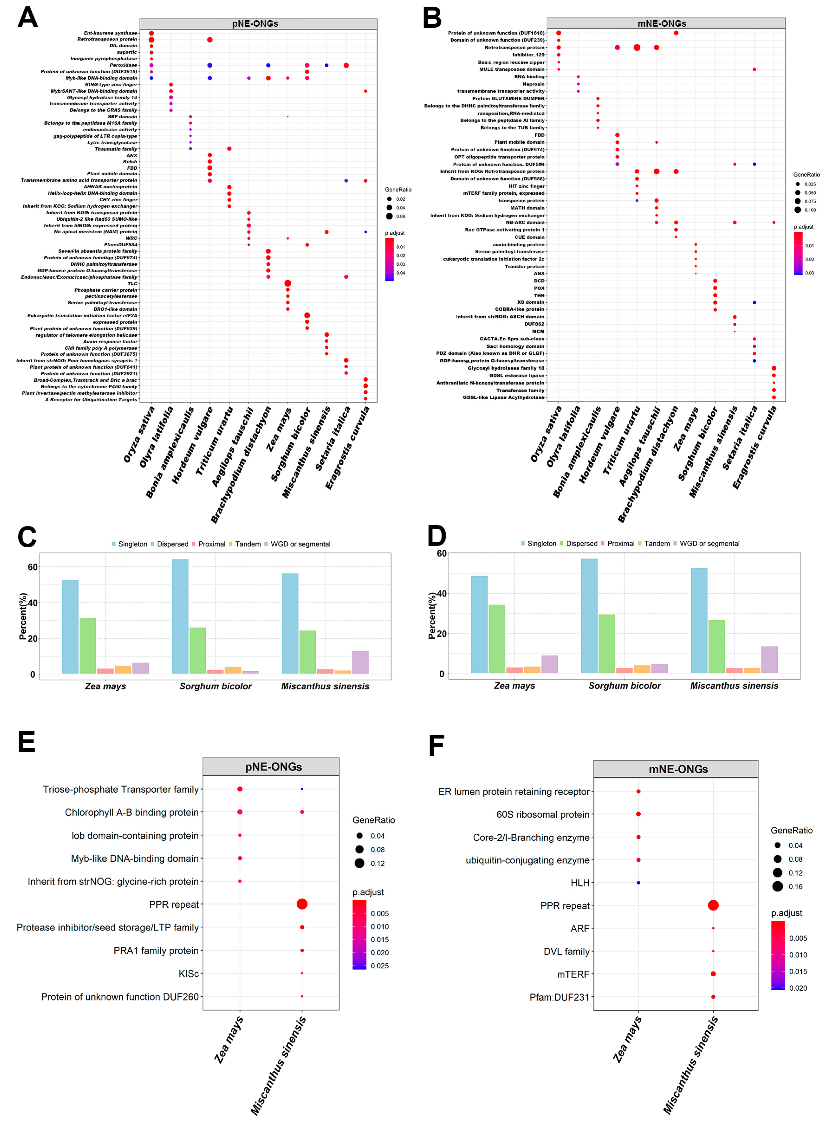 Agronomy 14 01177 g003