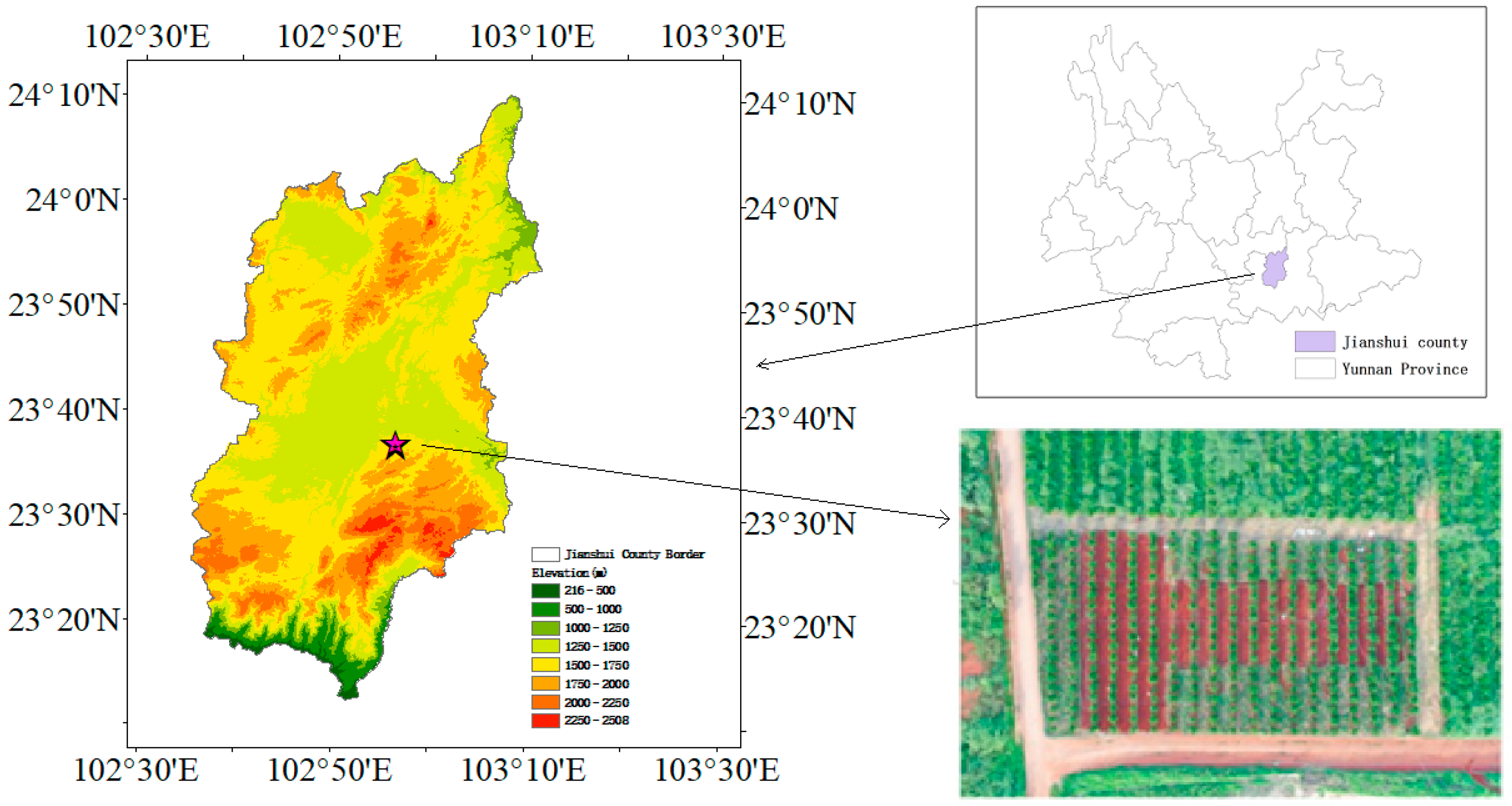 Agronomy 14 01179 g001