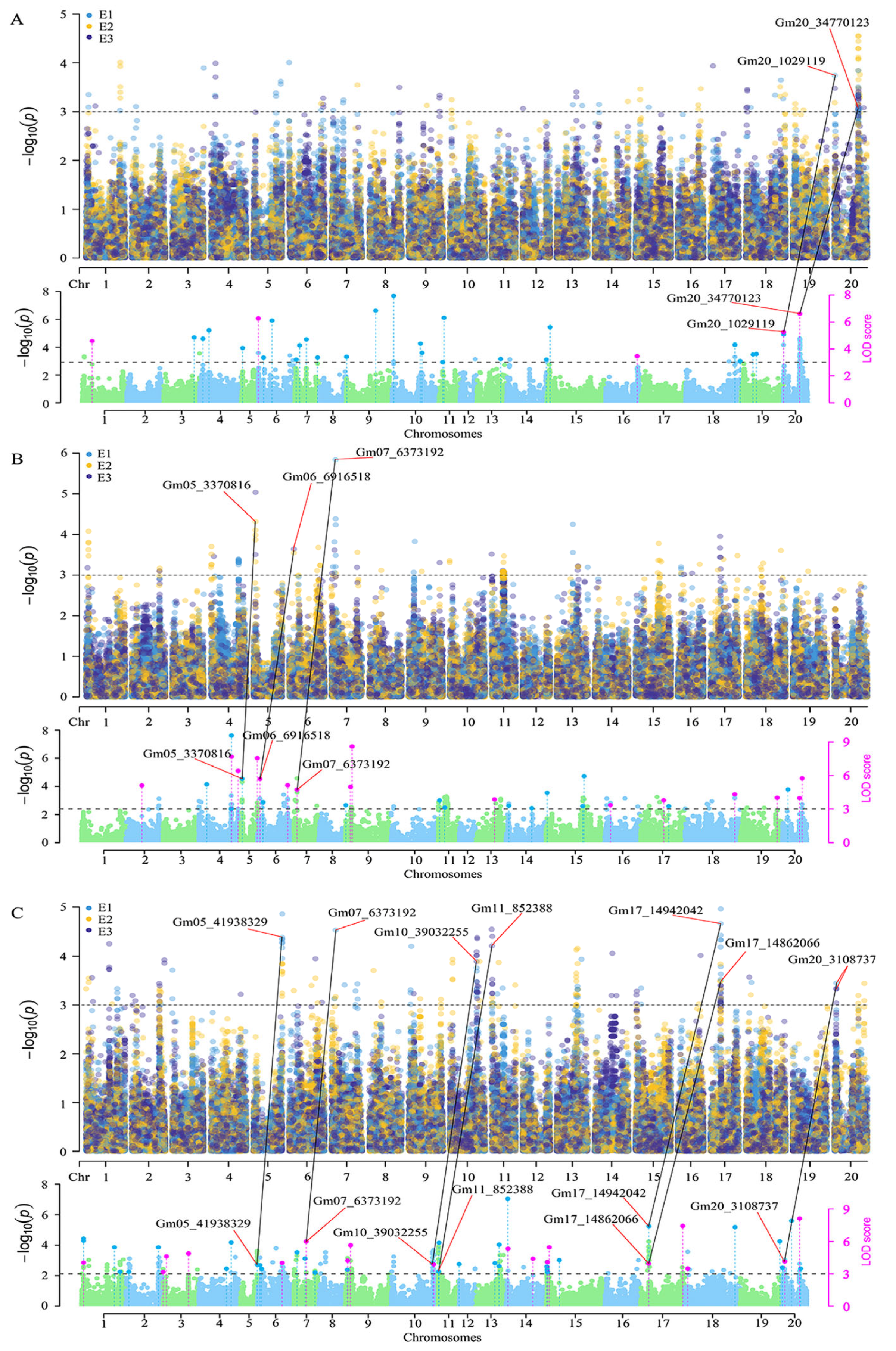 Agronomy 14 01183 g002