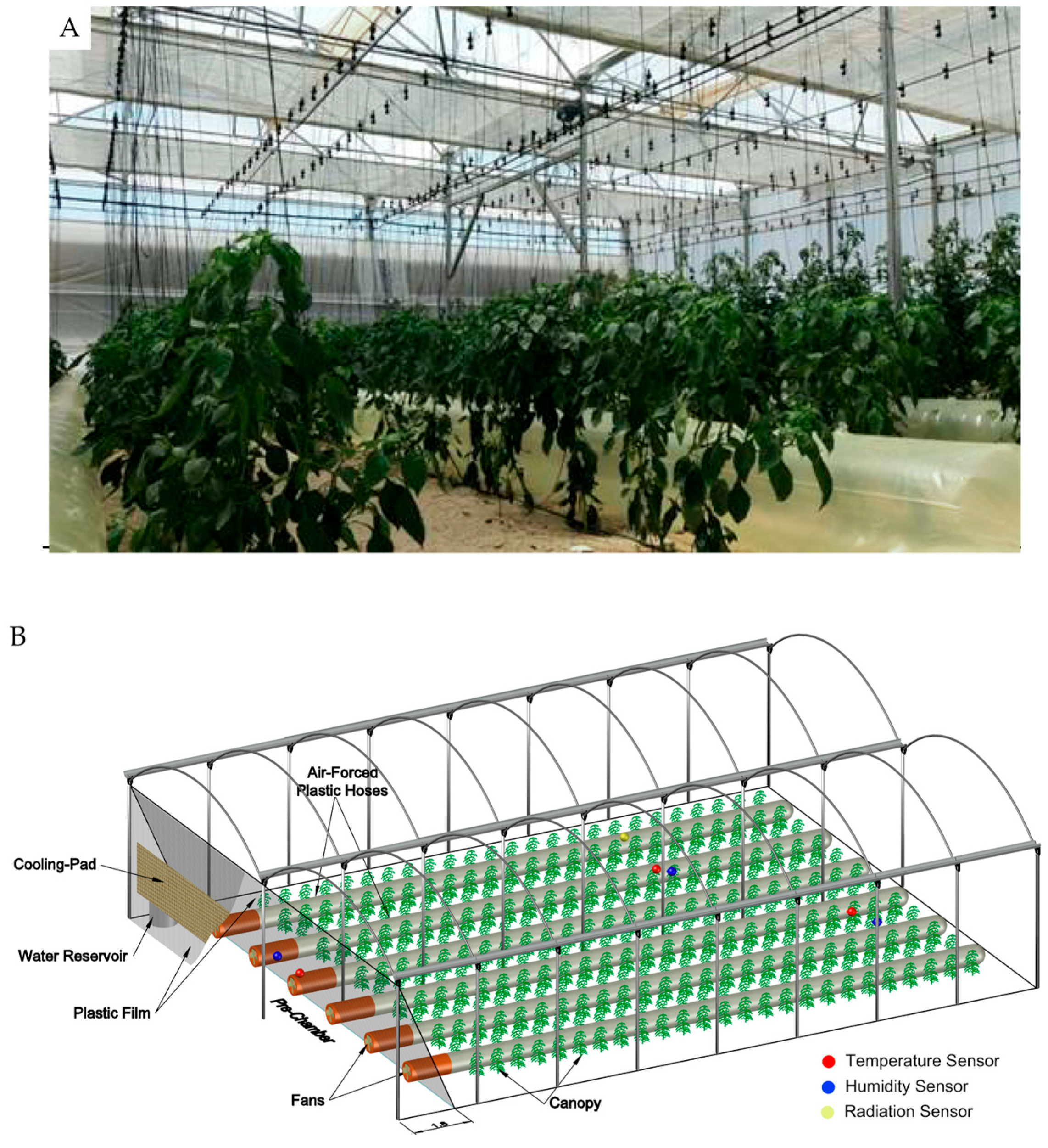 Agronomy 14 01187 g001