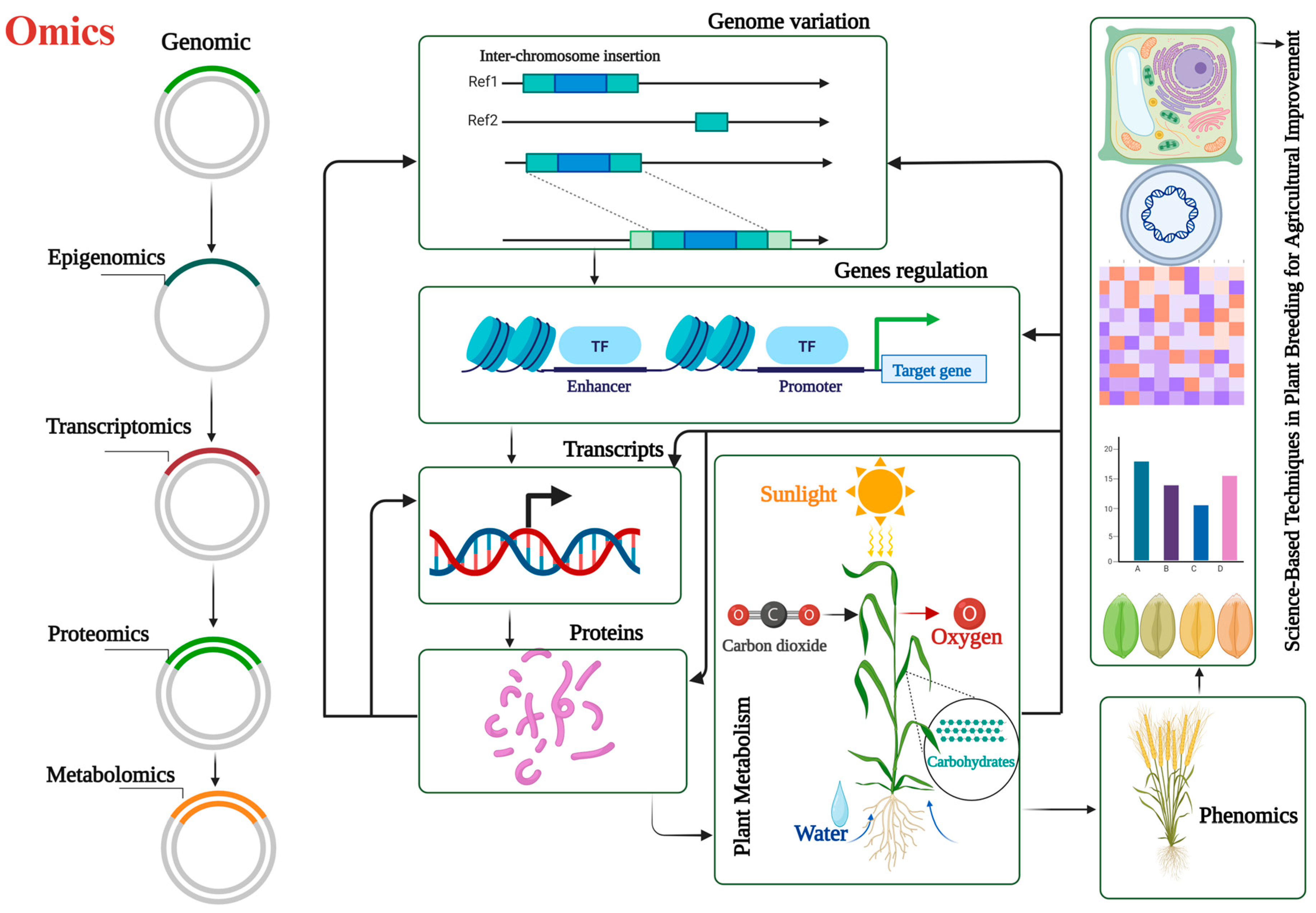 Agronomy 14 01201 g002