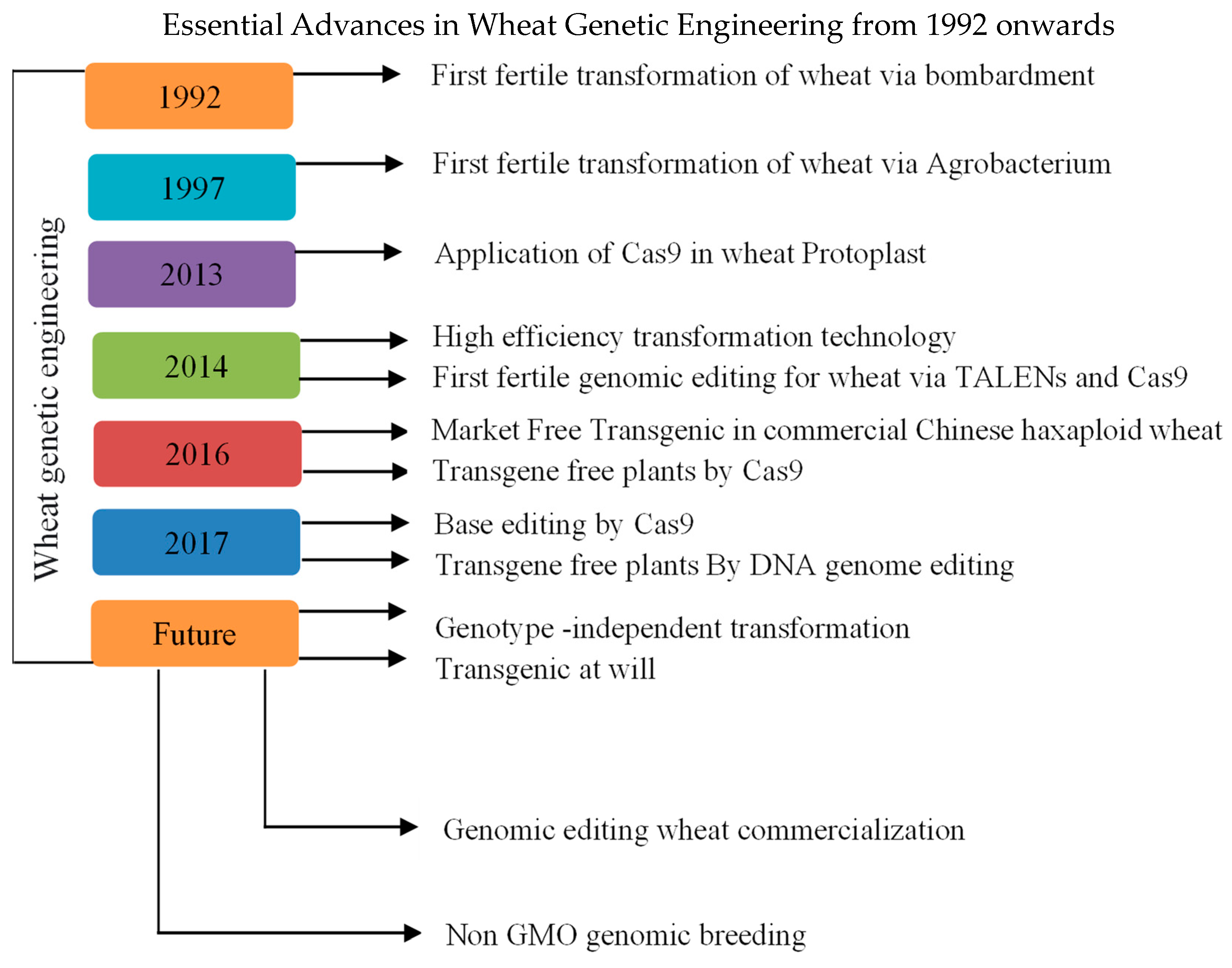 Agronomy 14 01201 g003