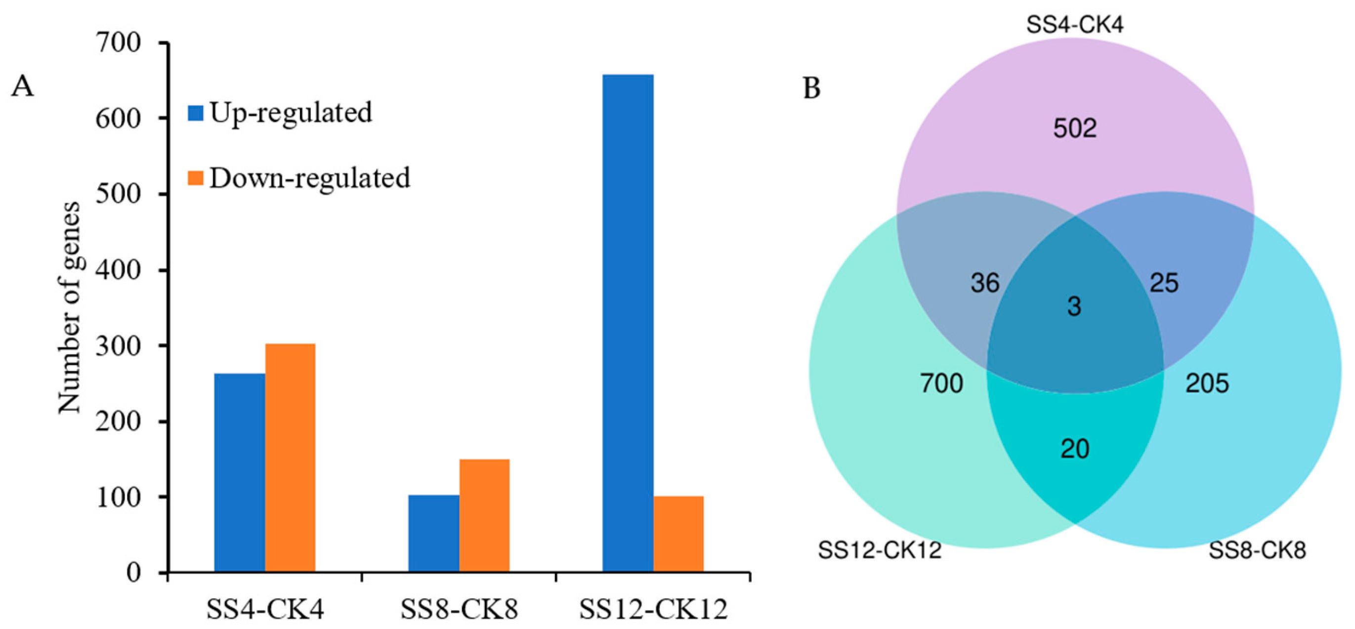 Agronomy 14 01207 g001