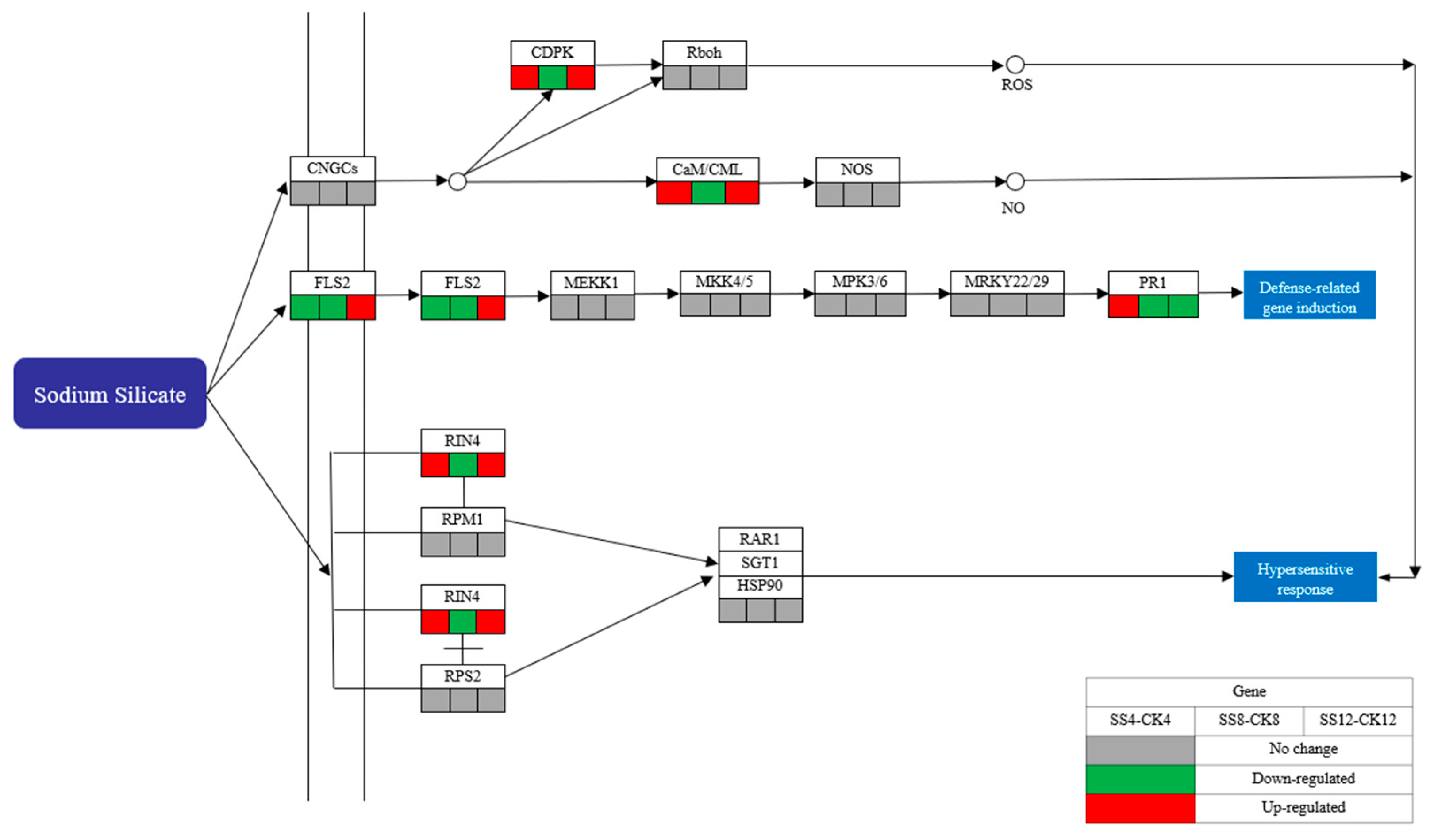 Agronomy 14 01207 g007