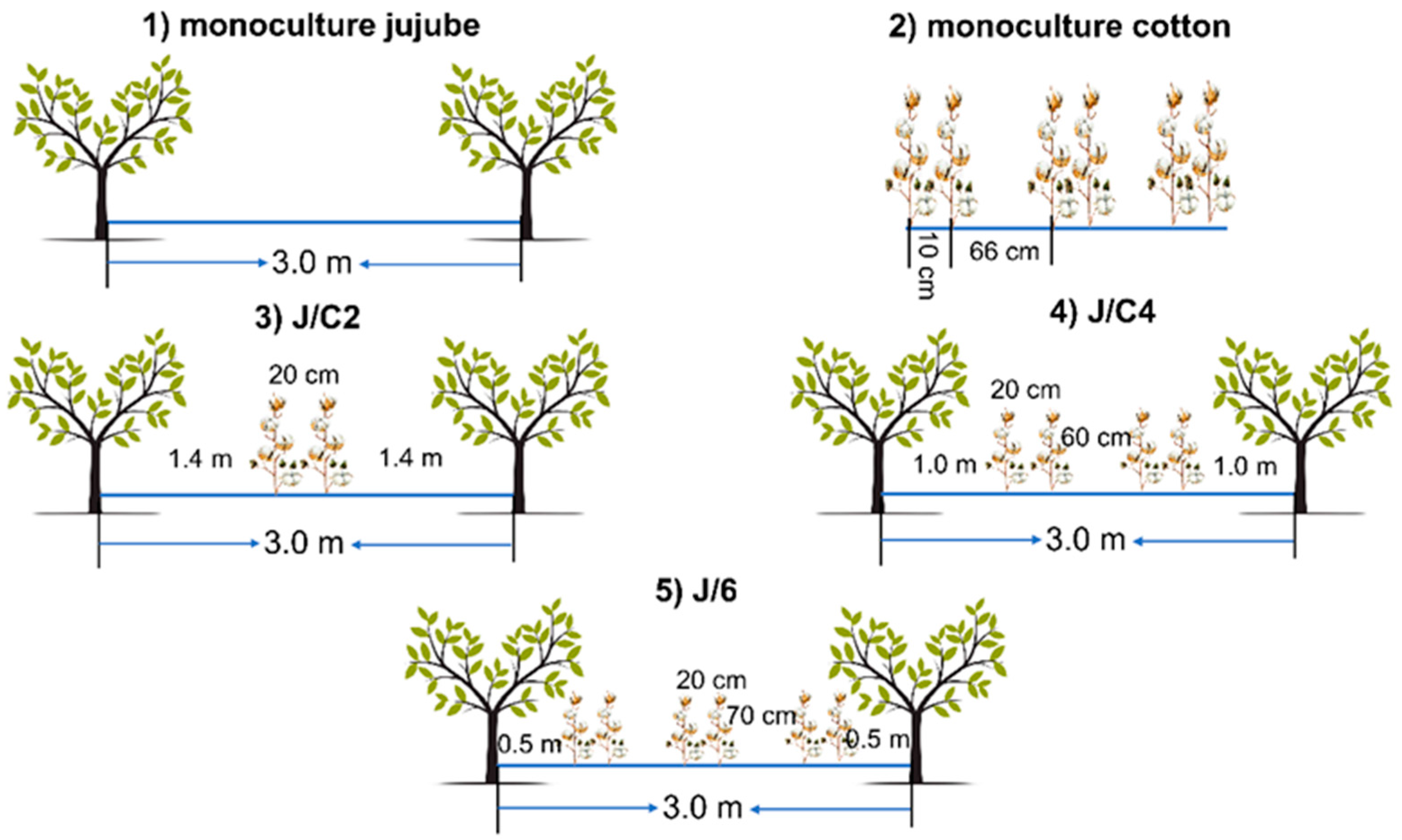 Agronomy 14 01216 g001